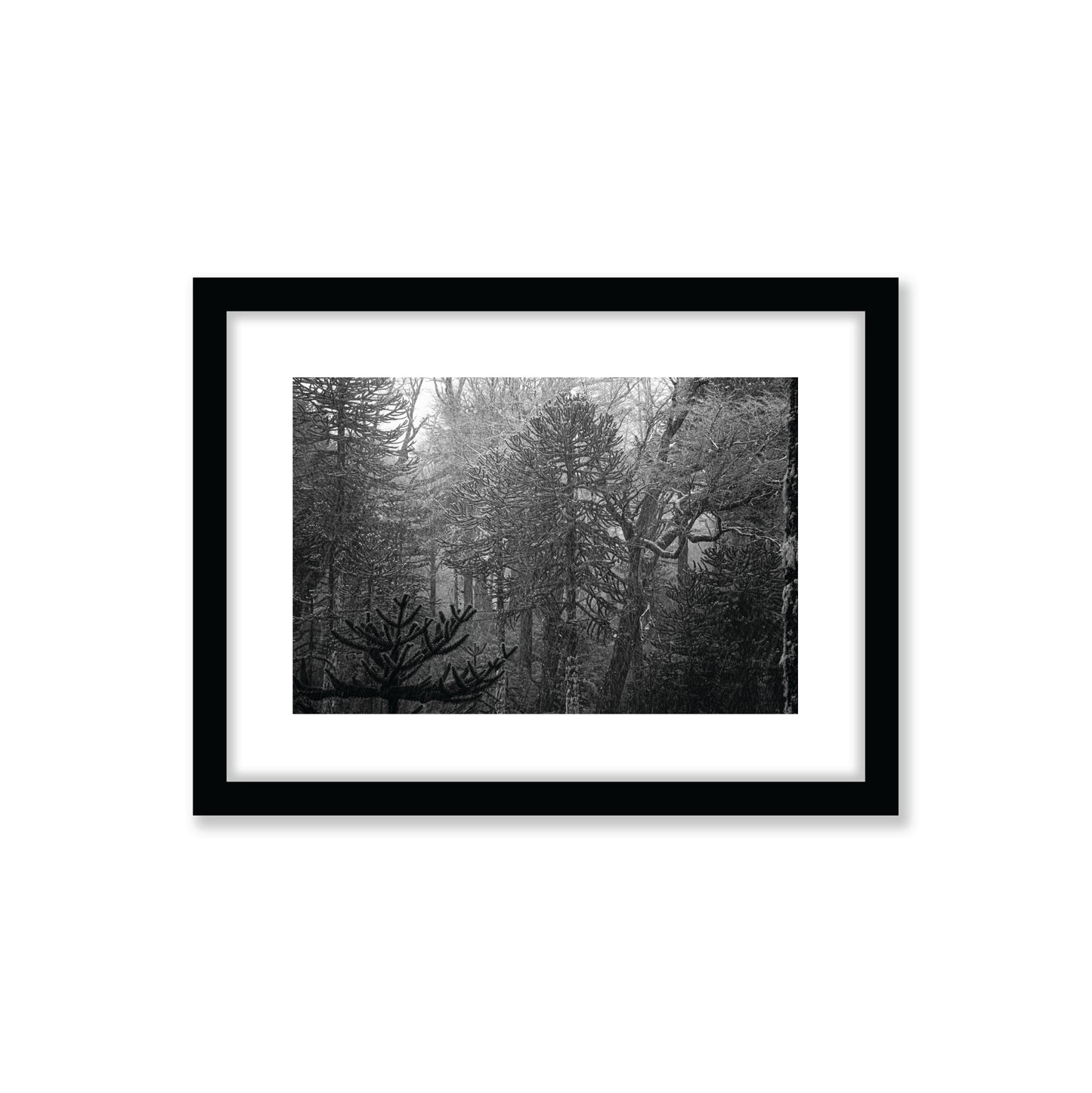 no-repeat center / cover url('https://cdn.shopify.com/s/files/1/0297/4914/9755/files/Artboard_3.png?v=1744315797')