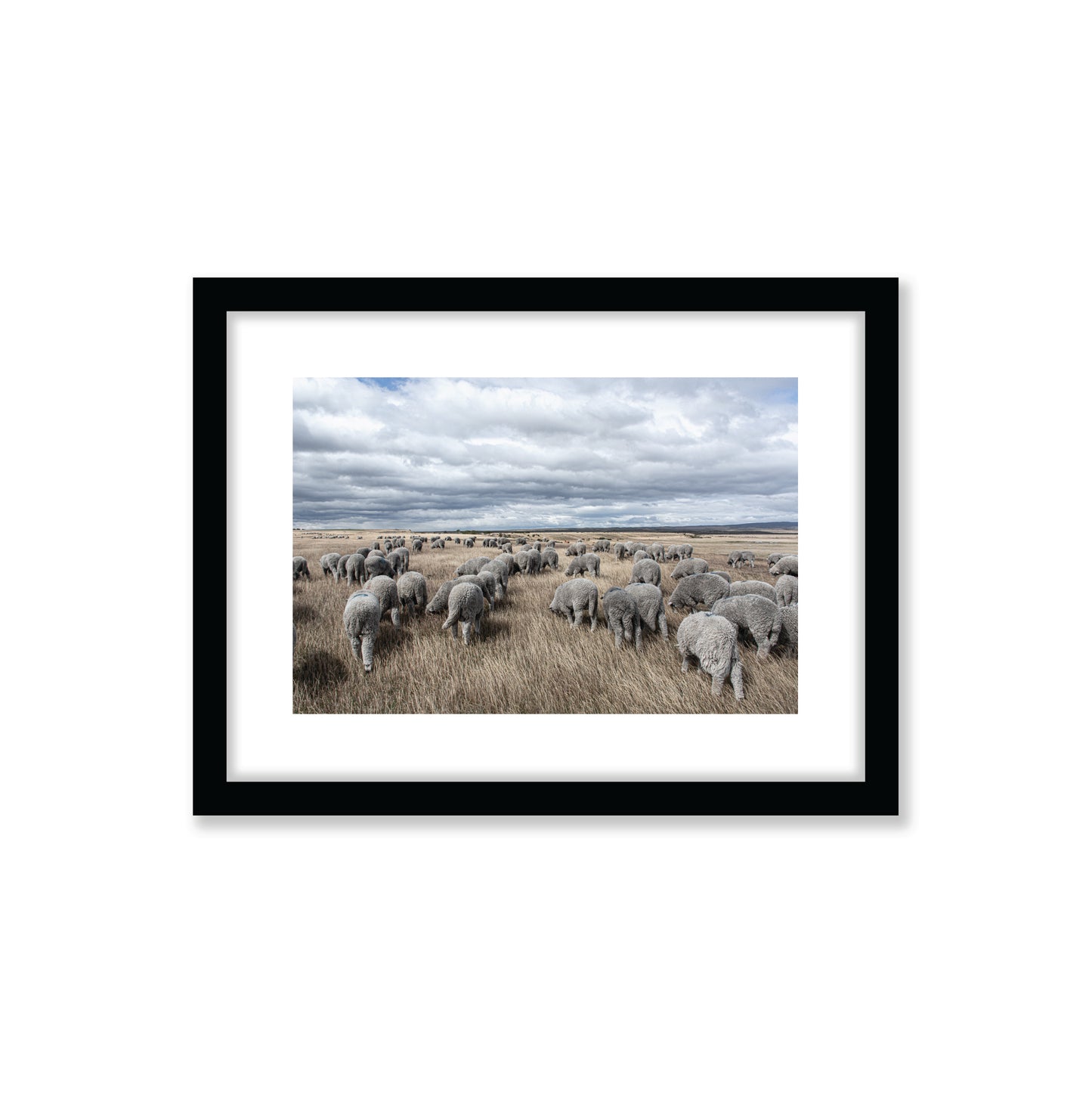 no-repeat center / cover url('https://cdn.shopify.com/s/files/1/0297/4914/9755/files/Artboard_3.png?v=1744315797')