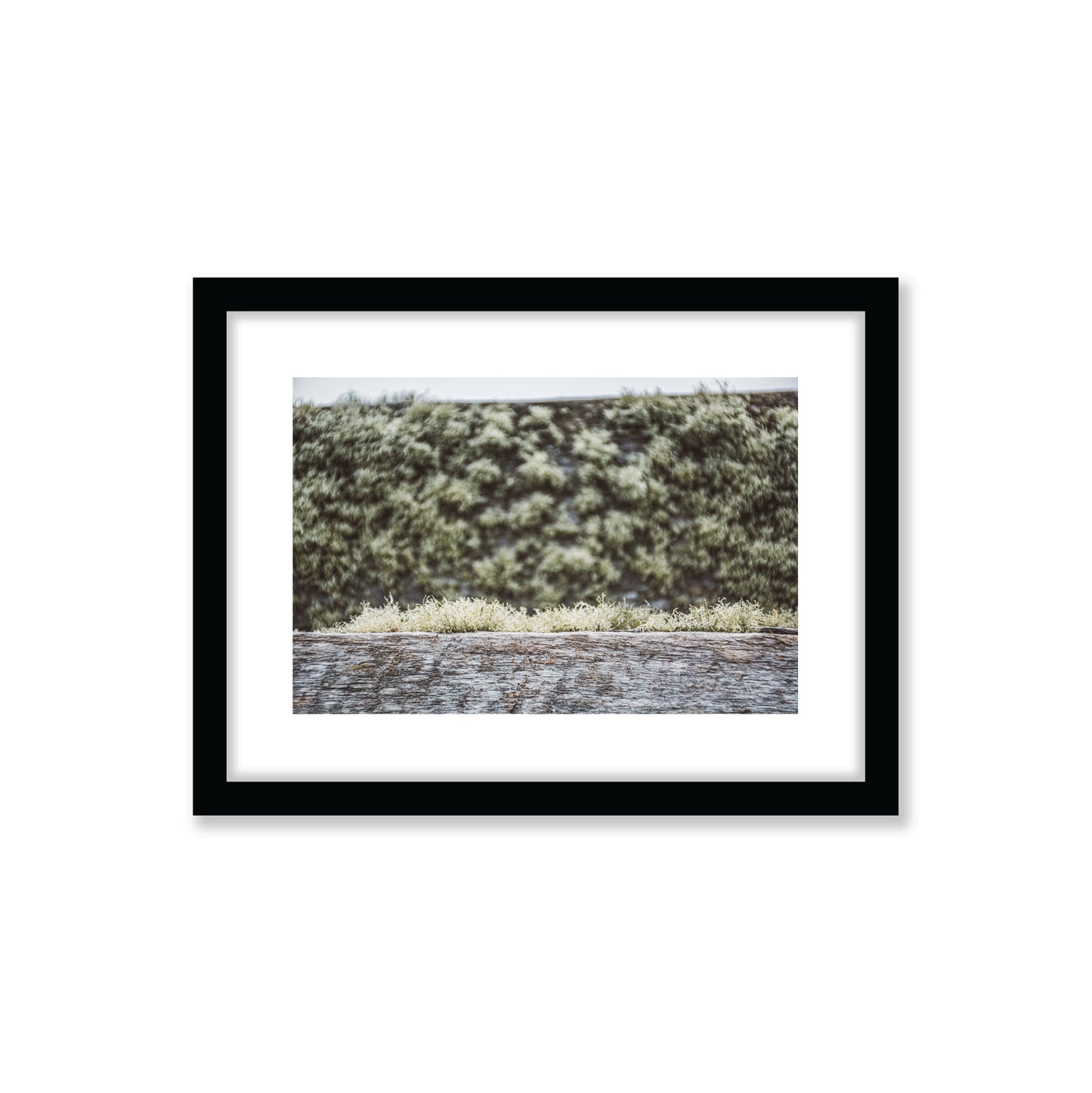 no-repeat center / cover url('https://cdn.shopify.com/s/files/1/0297/4914/9755/files/Artboard_3.png?v=1744315797')