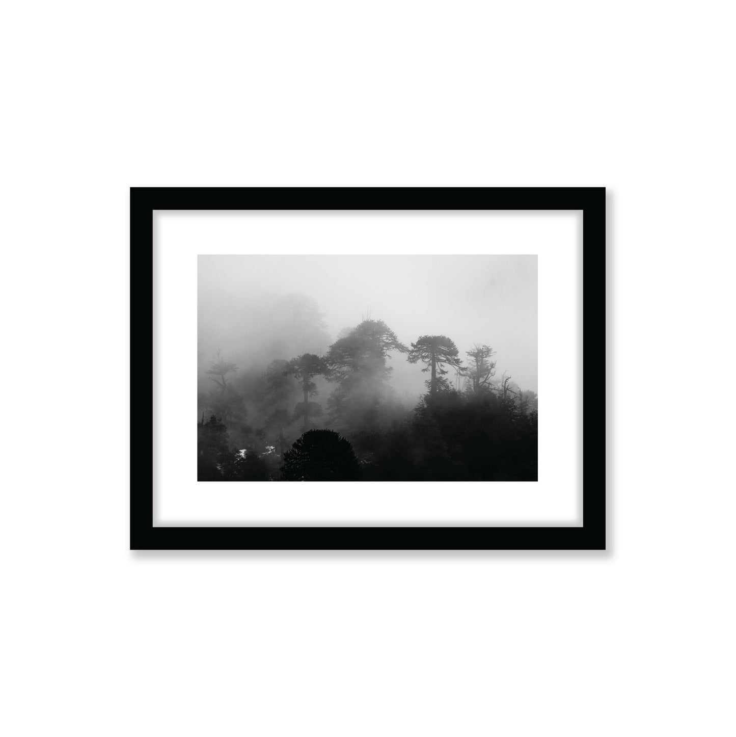 no-repeat center / cover url('https://cdn.shopify.com/s/files/1/0297/4914/9755/files/Artboard_3.png?v=1744315797')