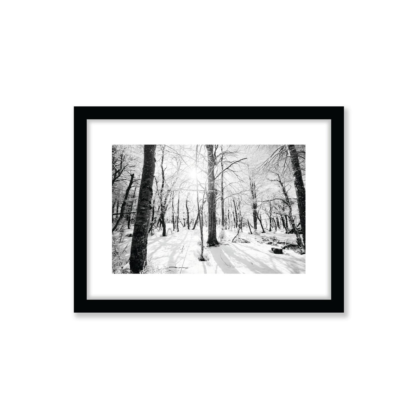 no-repeat center / cover url('https://cdn.shopify.com/s/files/1/0297/4914/9755/files/Artboard_3.png?v=1744315797')