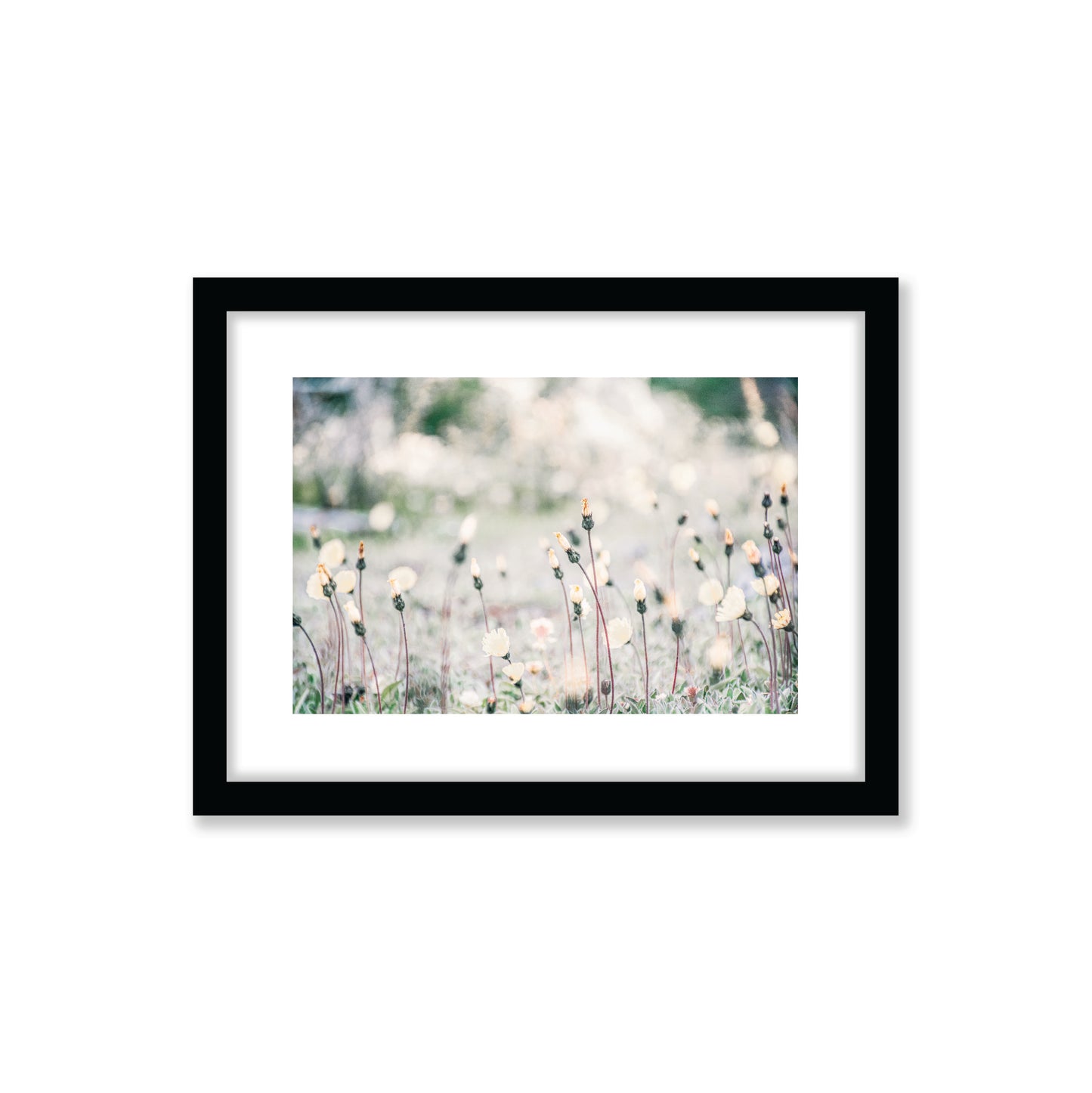 no-repeat center / cover url('https://cdn.shopify.com/s/files/1/0297/4914/9755/files/Artboard_3.png?v=1744315797')