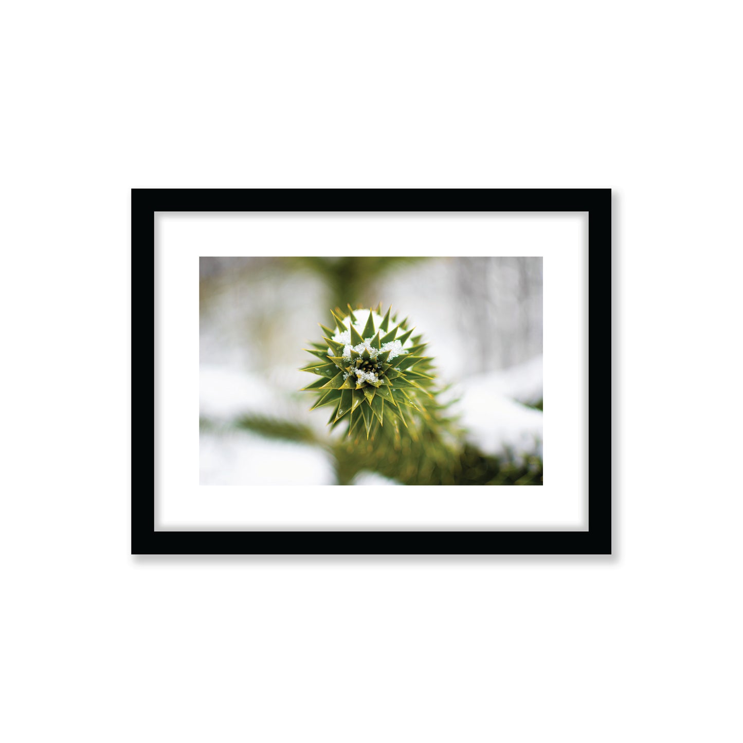 no-repeat center / cover url('https://cdn.shopify.com/s/files/1/0297/4914/9755/files/Artboard_3.png?v=1744315797')