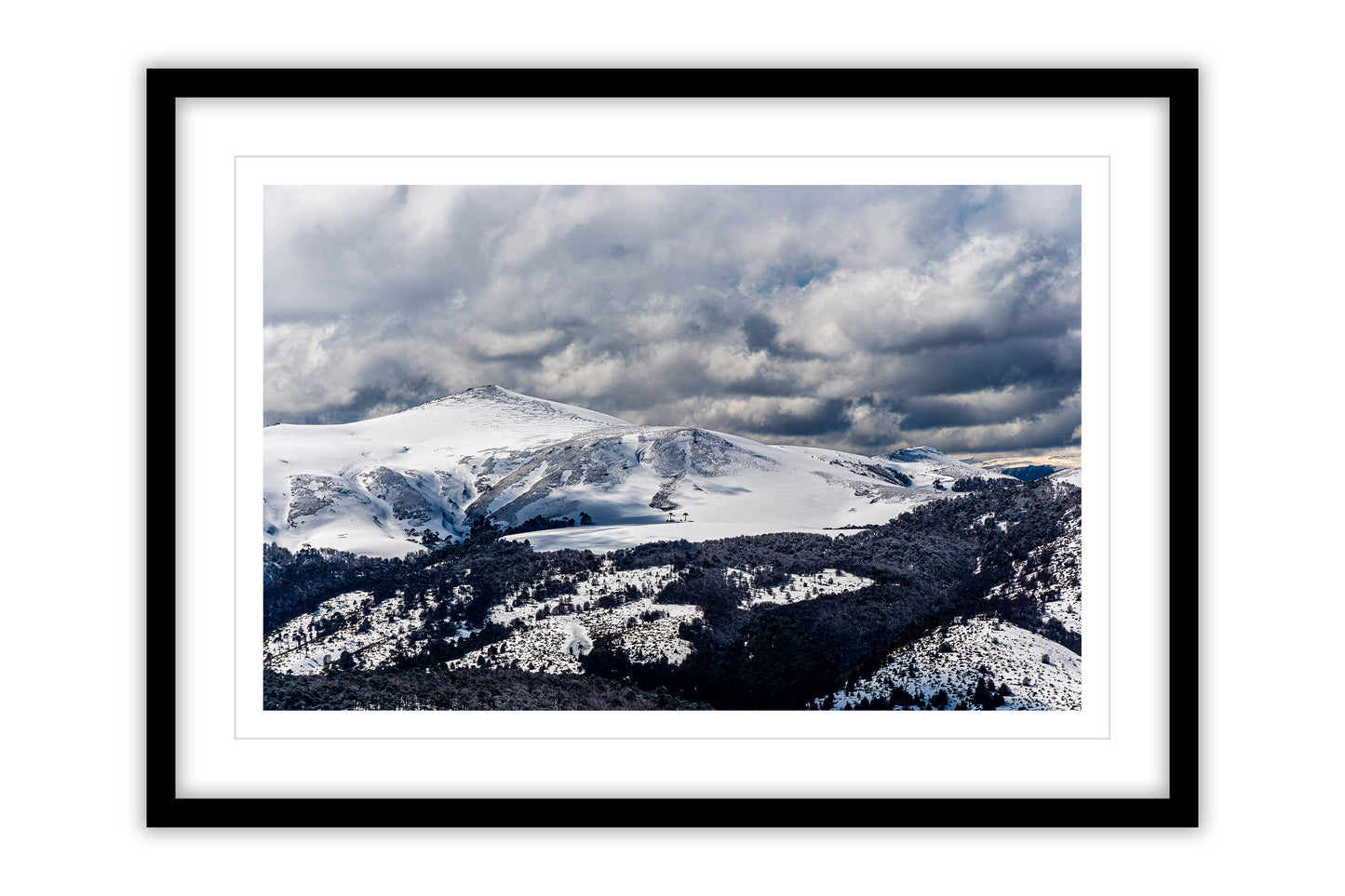 50x70 Araucanía Andina