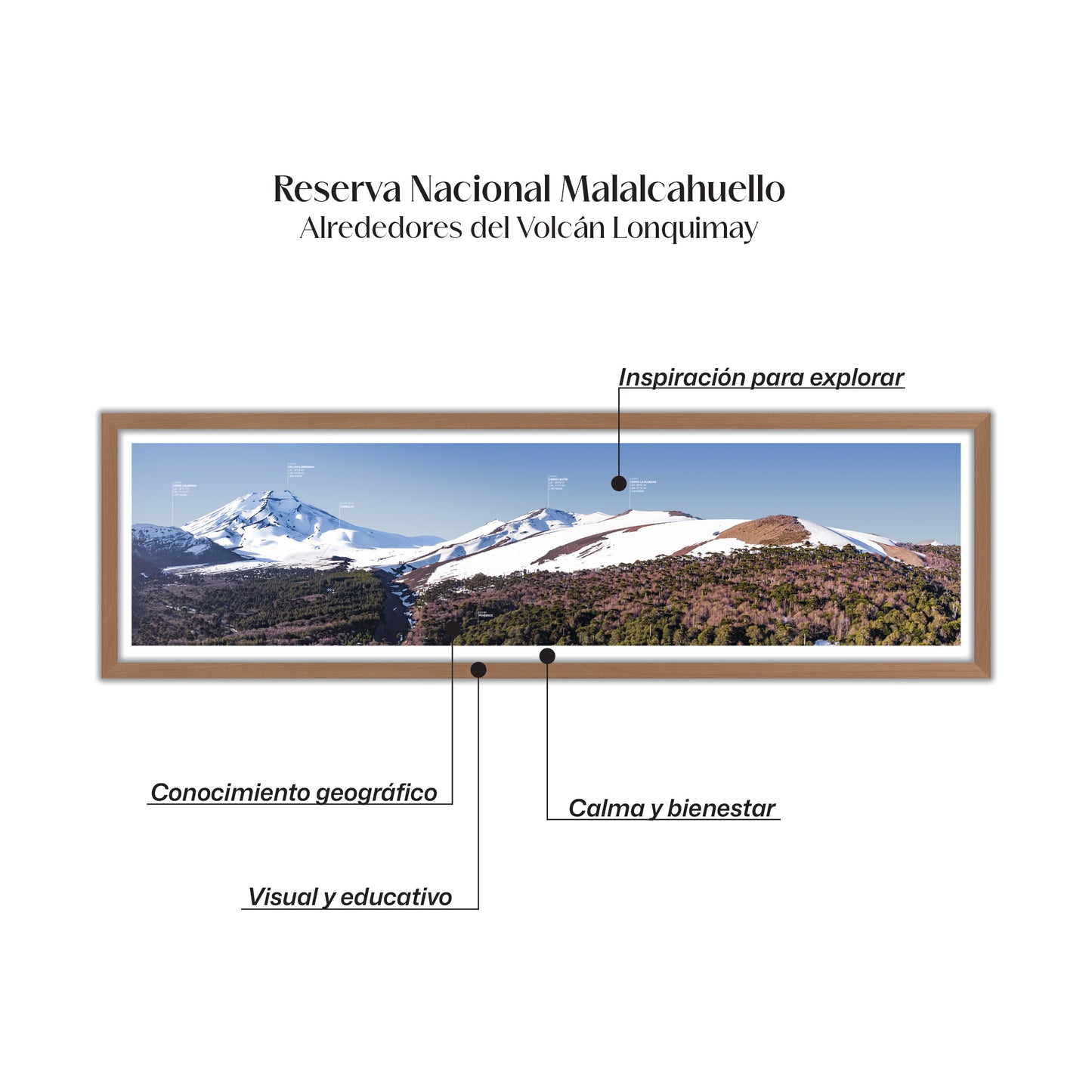 Panorámica Reserva Nacional Malalcahuello