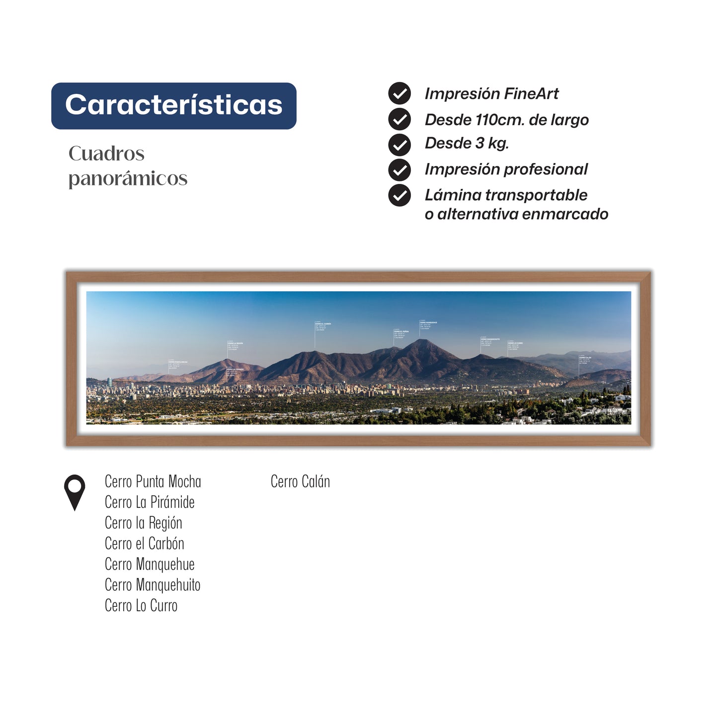 Panorámica Cordón del Manquehue