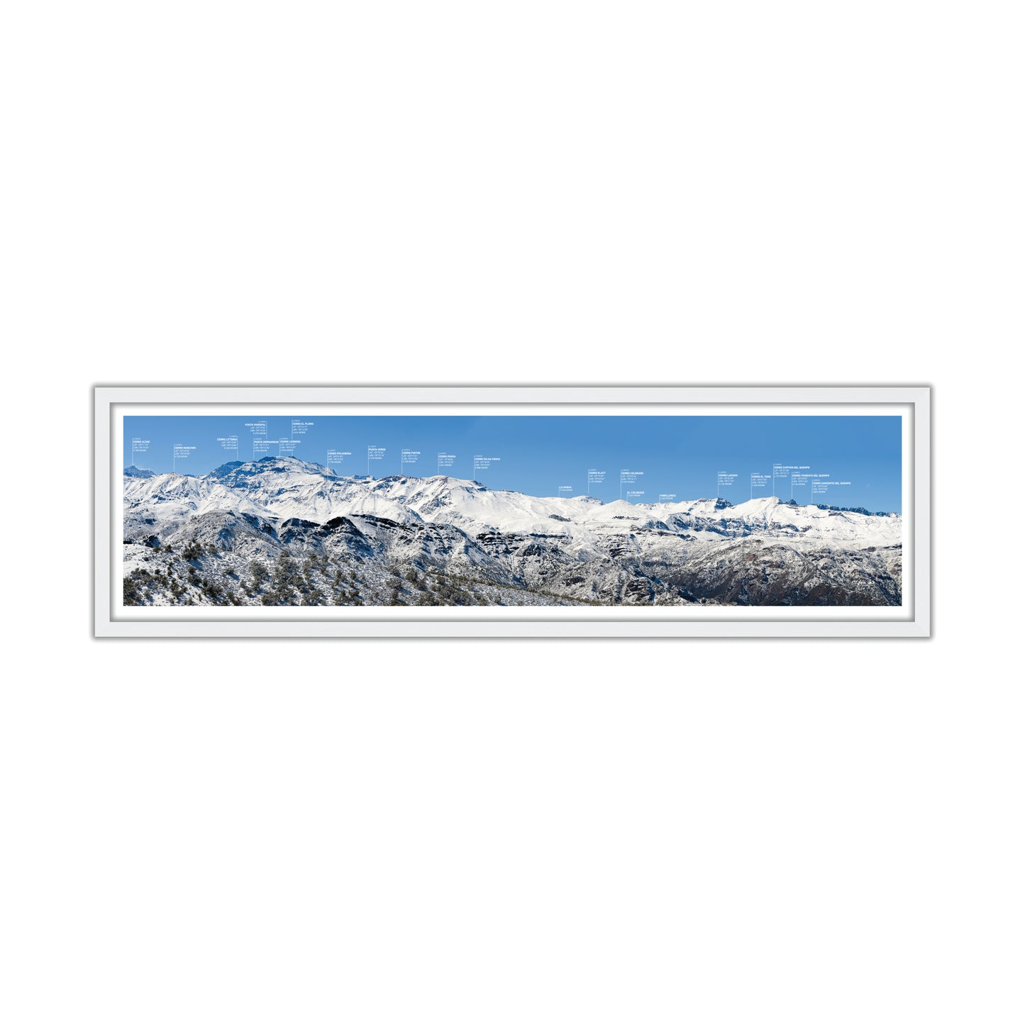 no-repeat center / cover url('https://cdn.shopify.com/s/files/1/0297/4914/9755/files/Artboard_1_1-100.jpg?v=1744600279')