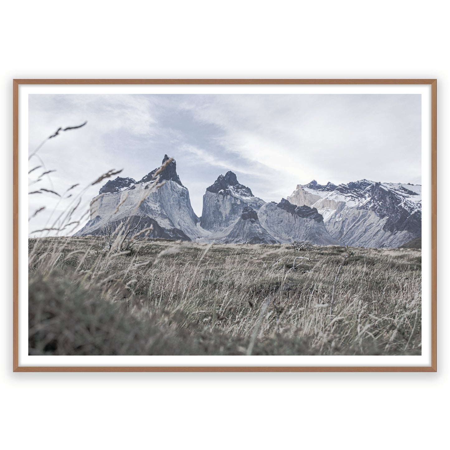 La Pampa y los Cuernos