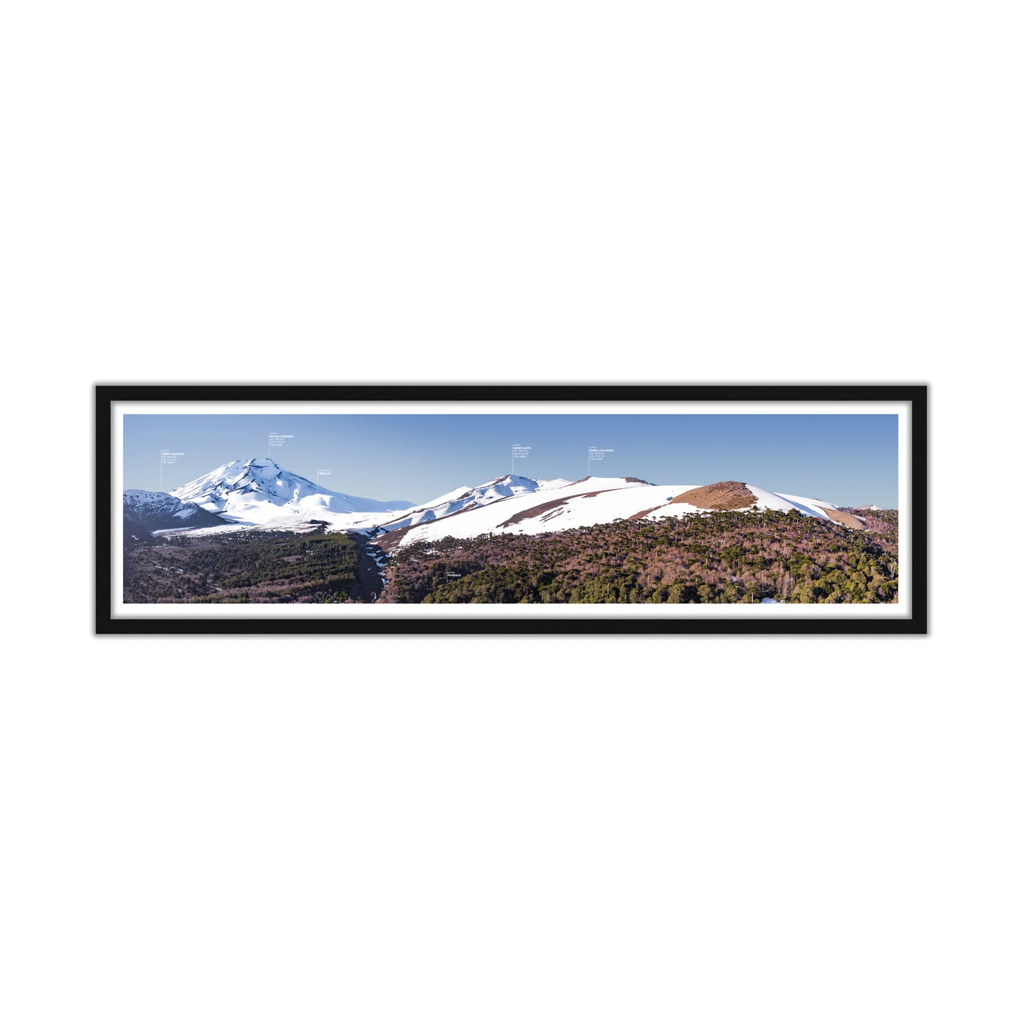 no-repeat center / cover url('https://cdn.shopify.com/s/files/1/0297/4914/9755/files/Artboard_3.png?v=1744315797')
