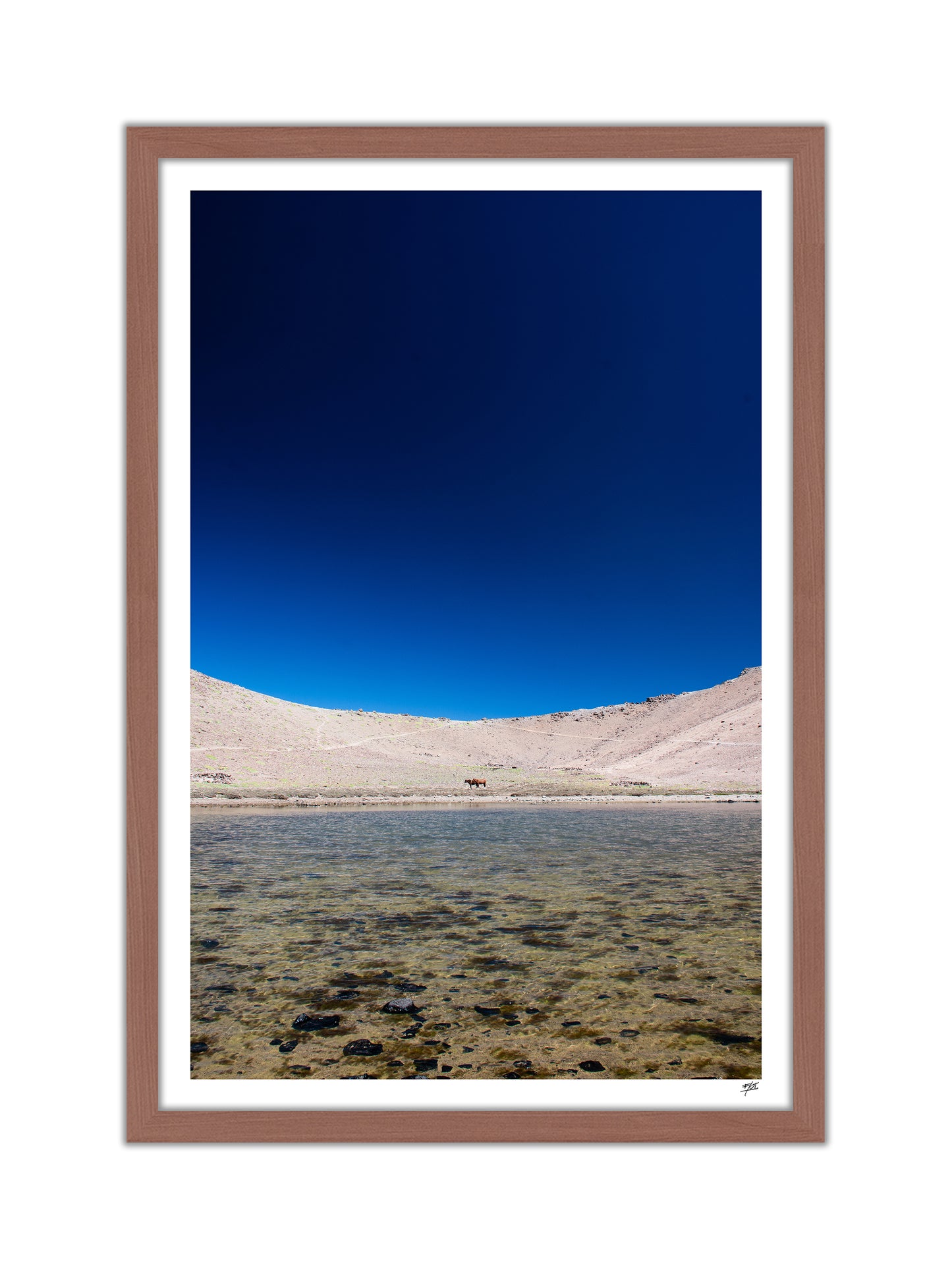 Laguna Piuquenes 40x60 + Libro