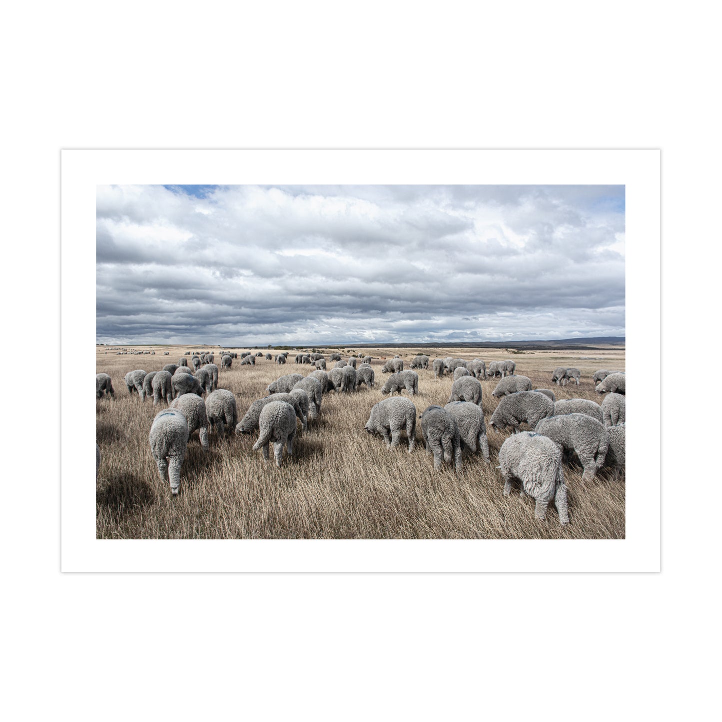 no-repeat center / cover url('https://cdn.shopify.com/s/files/1/0297/4914/9755/files/Artboard_1.png?v=1744315797')