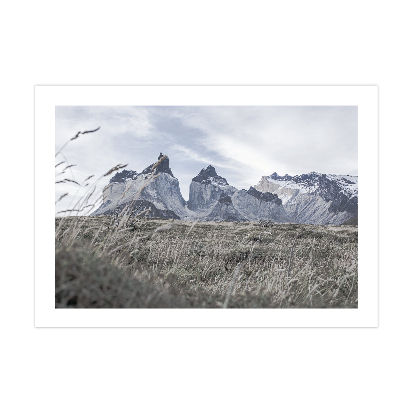 no-repeat center / cover url('https://cdn.shopify.com/s/files/1/0297/4914/9755/files/Artboard_1.png?v=1744315797')