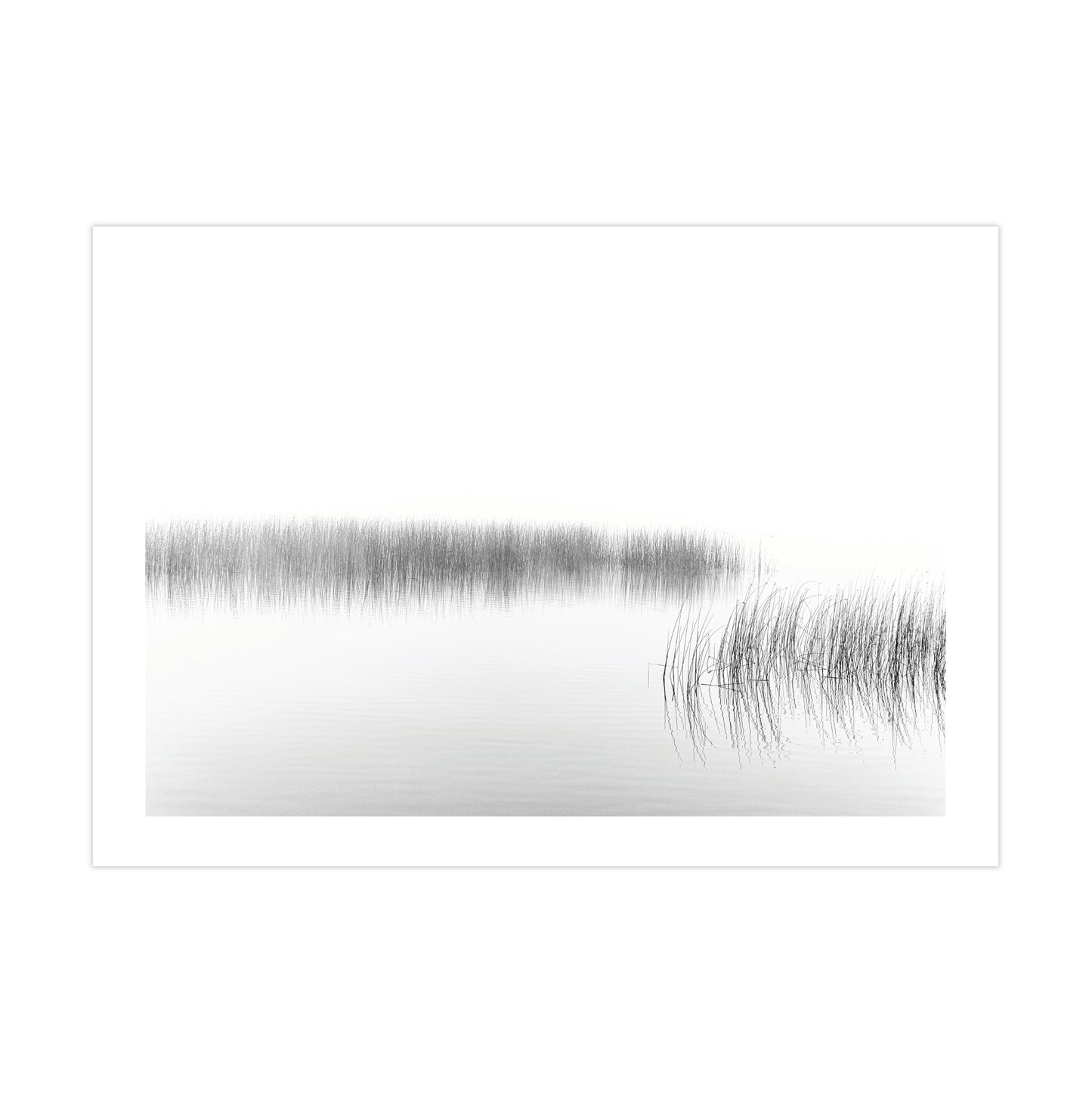 no-repeat center / cover url('https://cdn.shopify.com/s/files/1/0297/4914/9755/files/Artboard_1.png?v=1744315797')