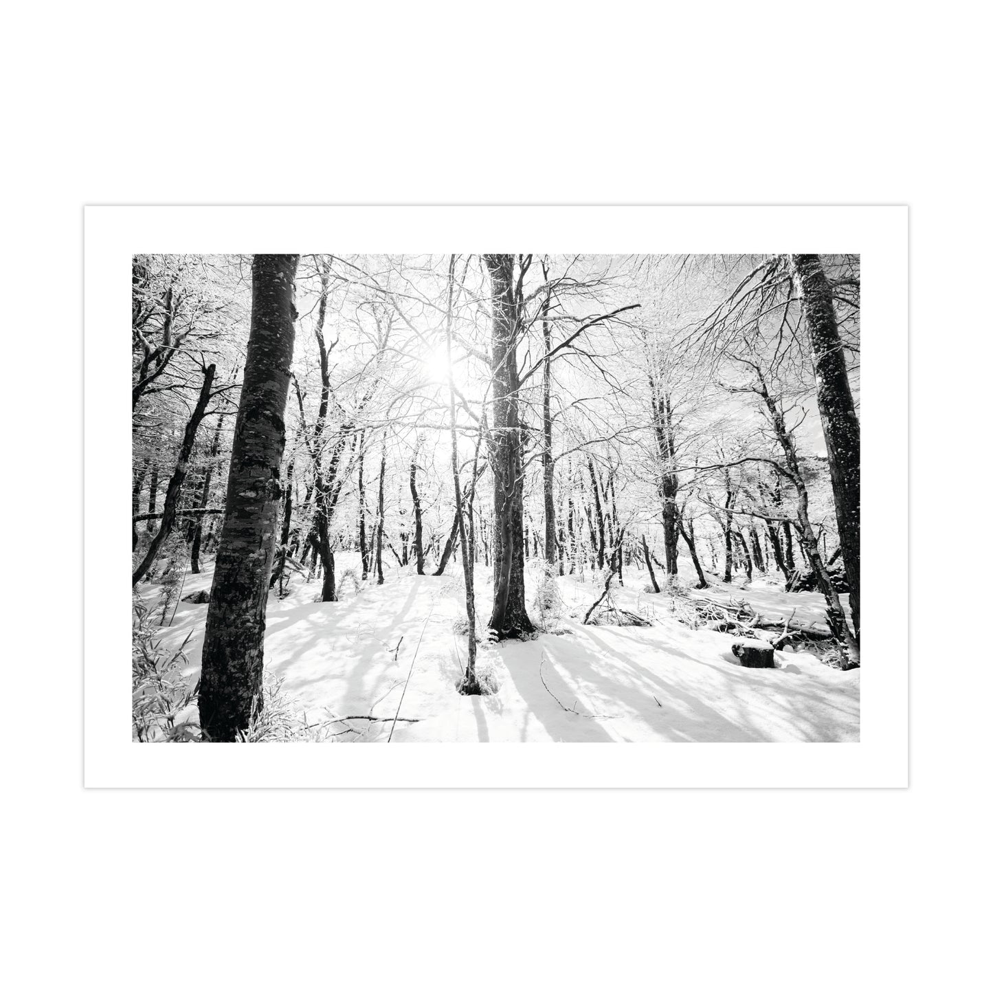 no-repeat center / cover url('https://cdn.shopify.com/s/files/1/0297/4914/9755/files/Artboard_1.png?v=1744315797')