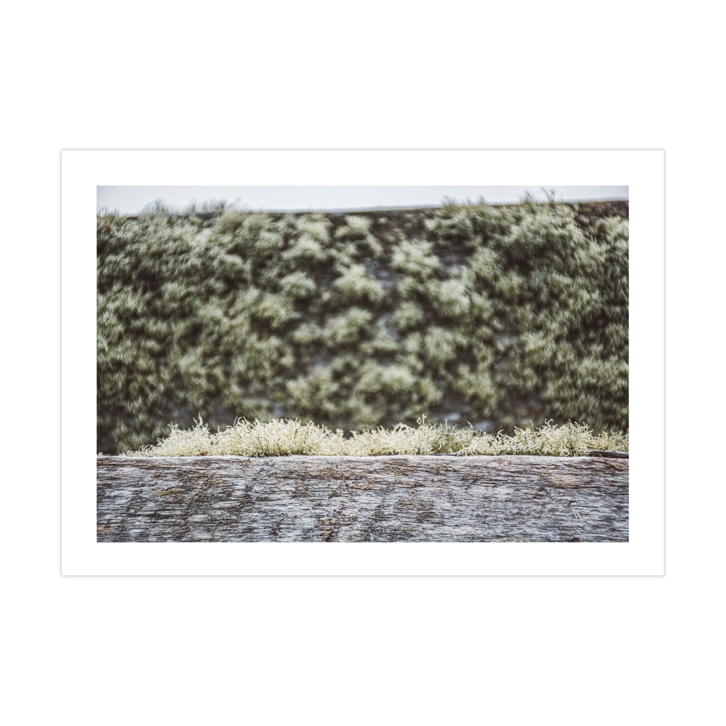 no-repeat center / cover url('https://cdn.shopify.com/s/files/1/0297/4914/9755/files/Artboard_1.png?v=1744315797')