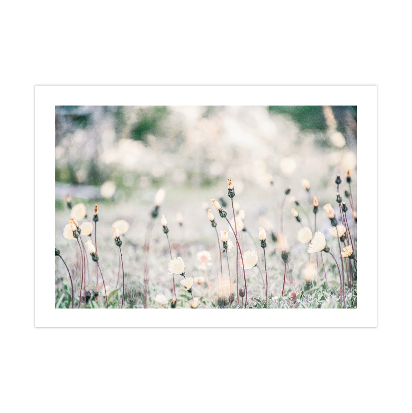 no-repeat center / cover url('https://cdn.shopify.com/s/files/1/0297/4914/9755/files/Artboard_1.png?v=1744315797')
