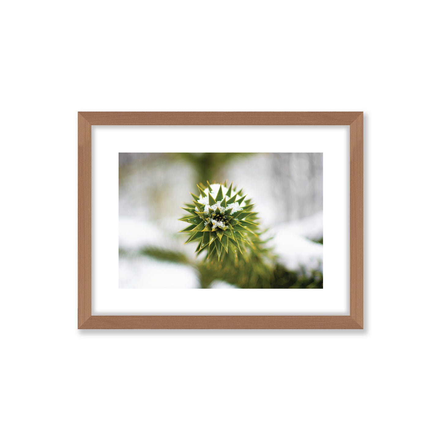 no-repeat center / cover url('https://cdn.shopify.com/s/files/1/0297/4914/9755/files/Artboard_2.png?v=1744315797')