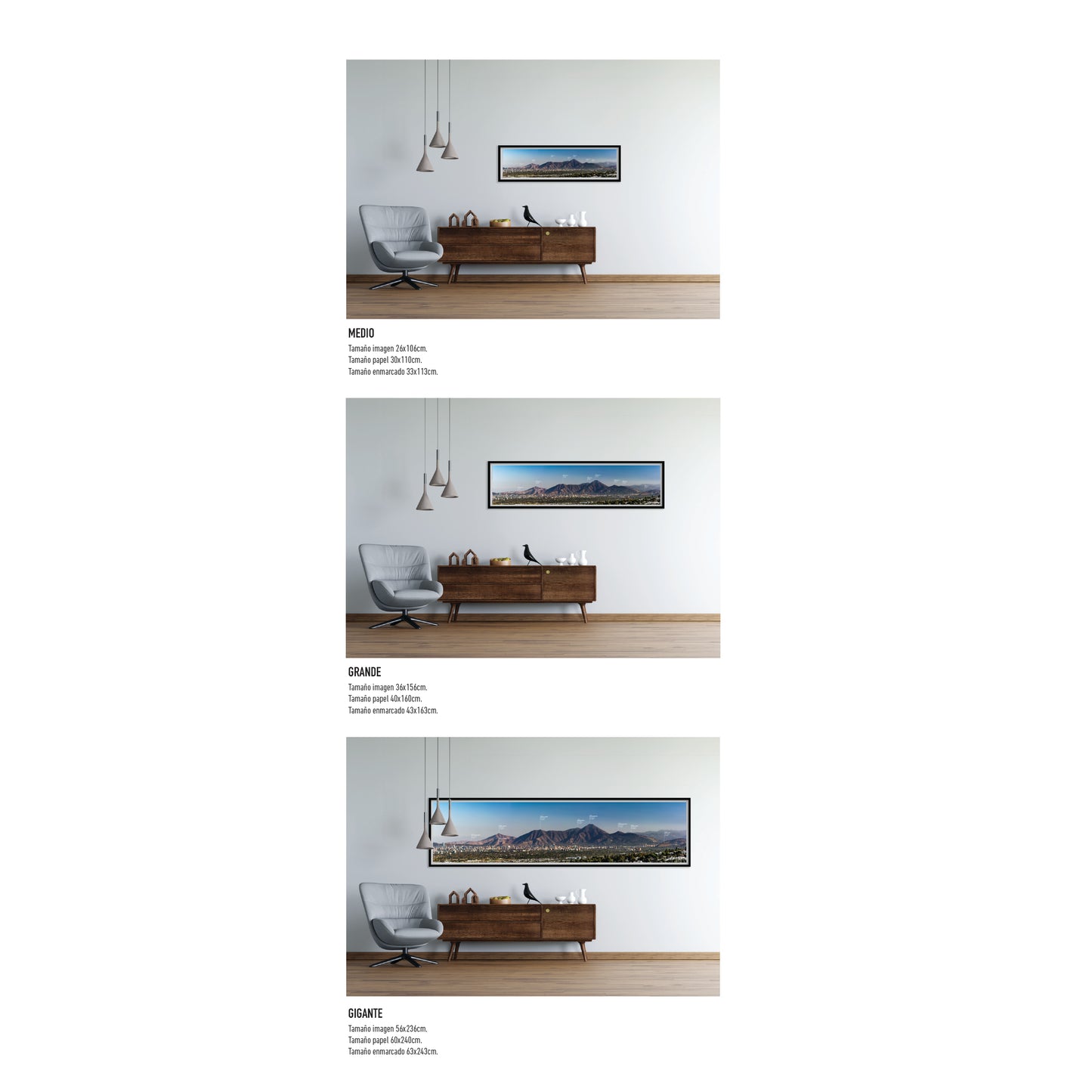 Panorámica Cordón del Manquehue