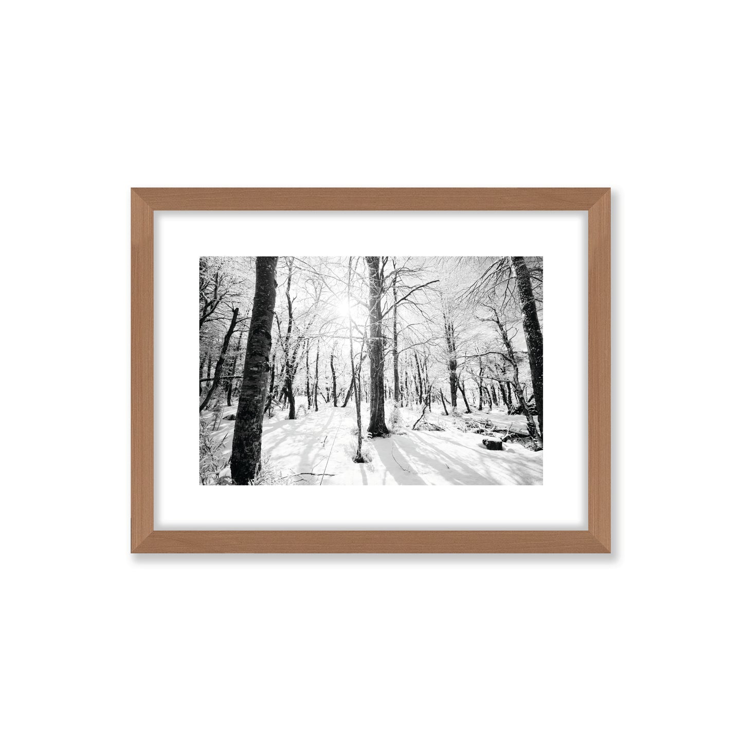 no-repeat center / cover url('https://cdn.shopify.com/s/files/1/0297/4914/9755/files/Artboard_2.png?v=1744315797')