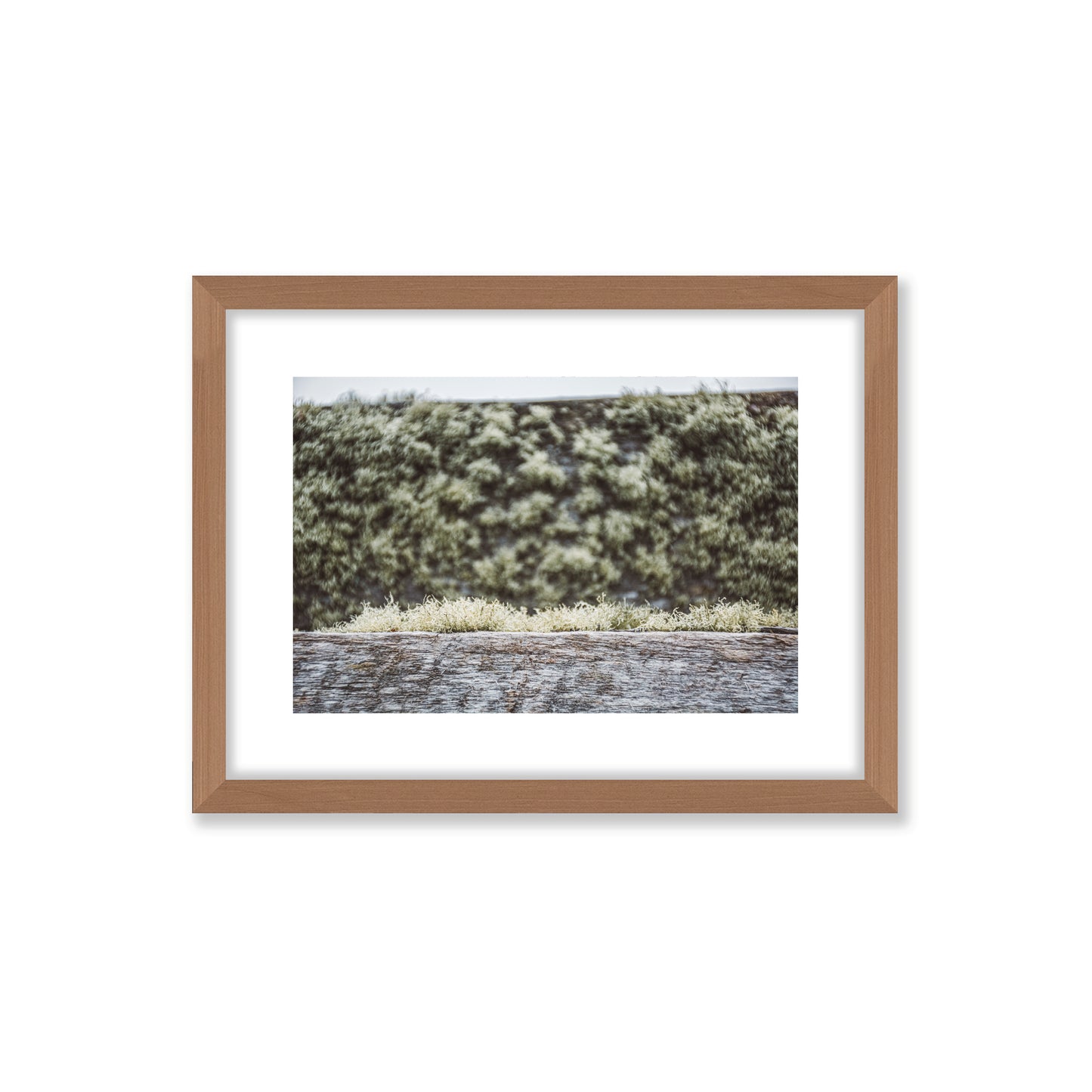 no-repeat center / cover url('https://cdn.shopify.com/s/files/1/0297/4914/9755/files/Artboard_2.png?v=1744315797')