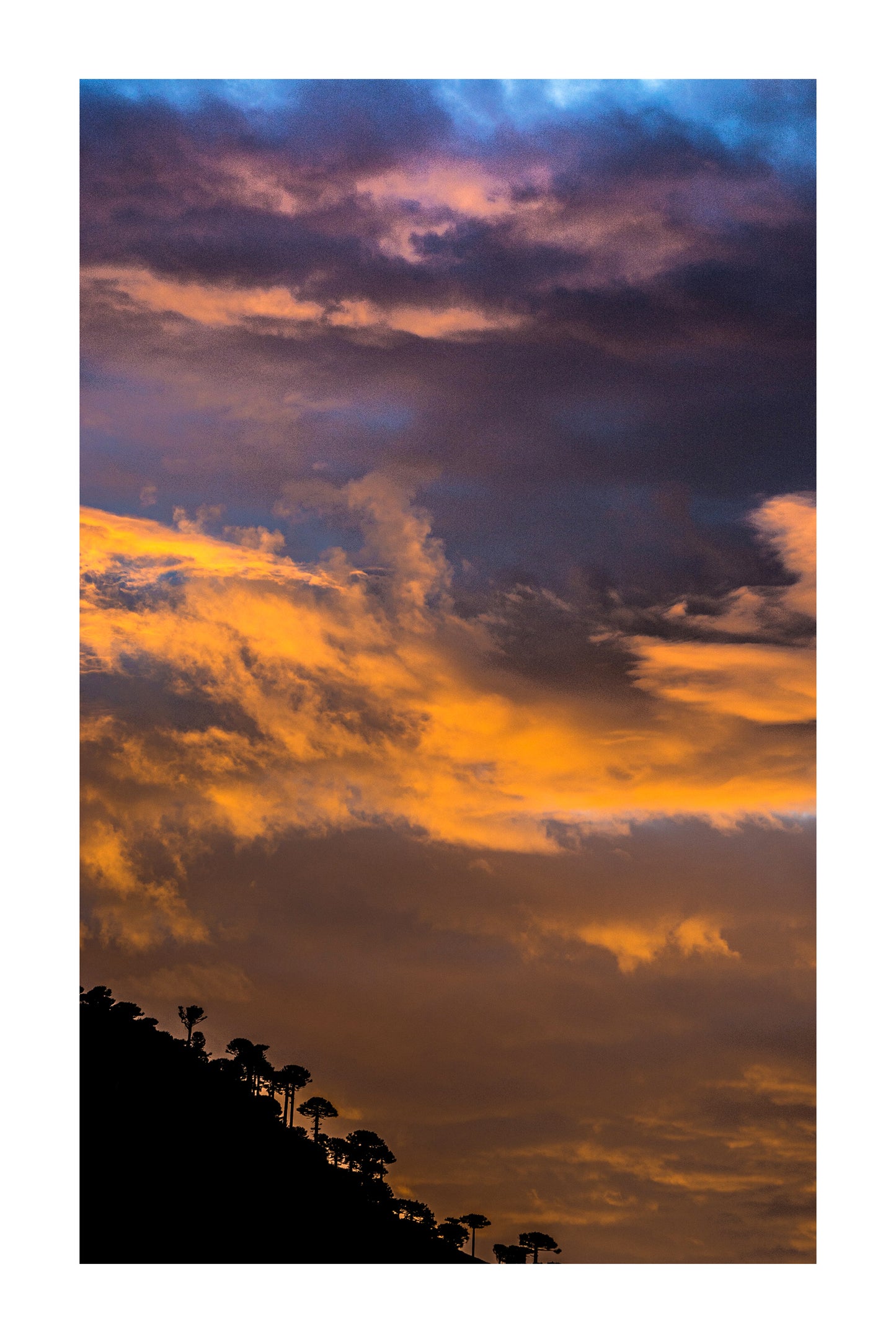 V. Atardecer en Malalcahuello