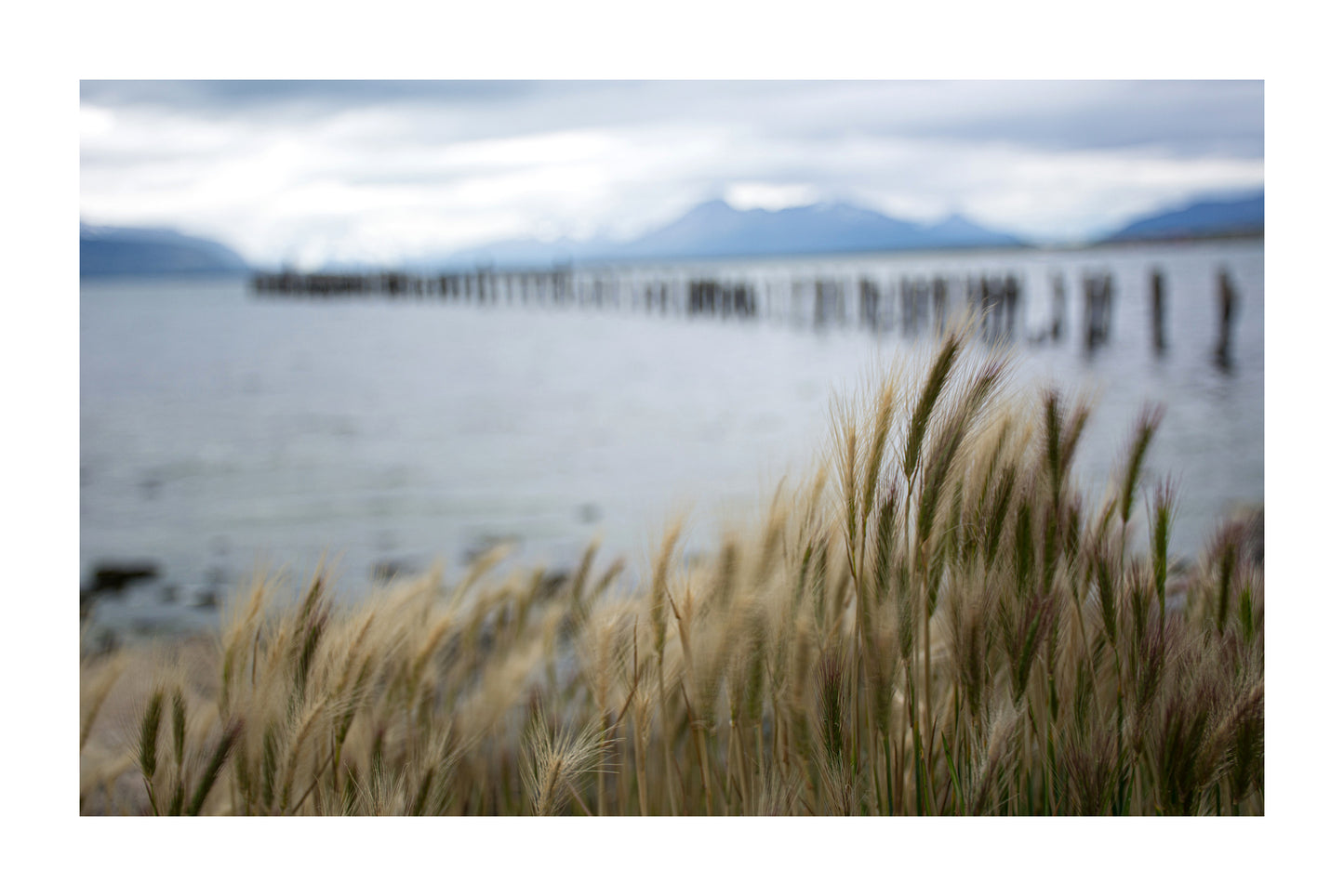 Costanera de Puerto Natales