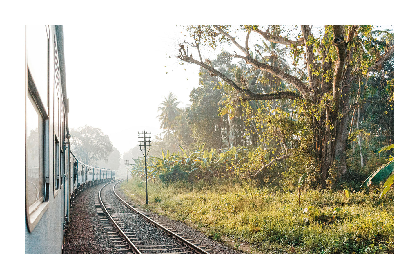 LKA - Trenes de Sri Lanka 3