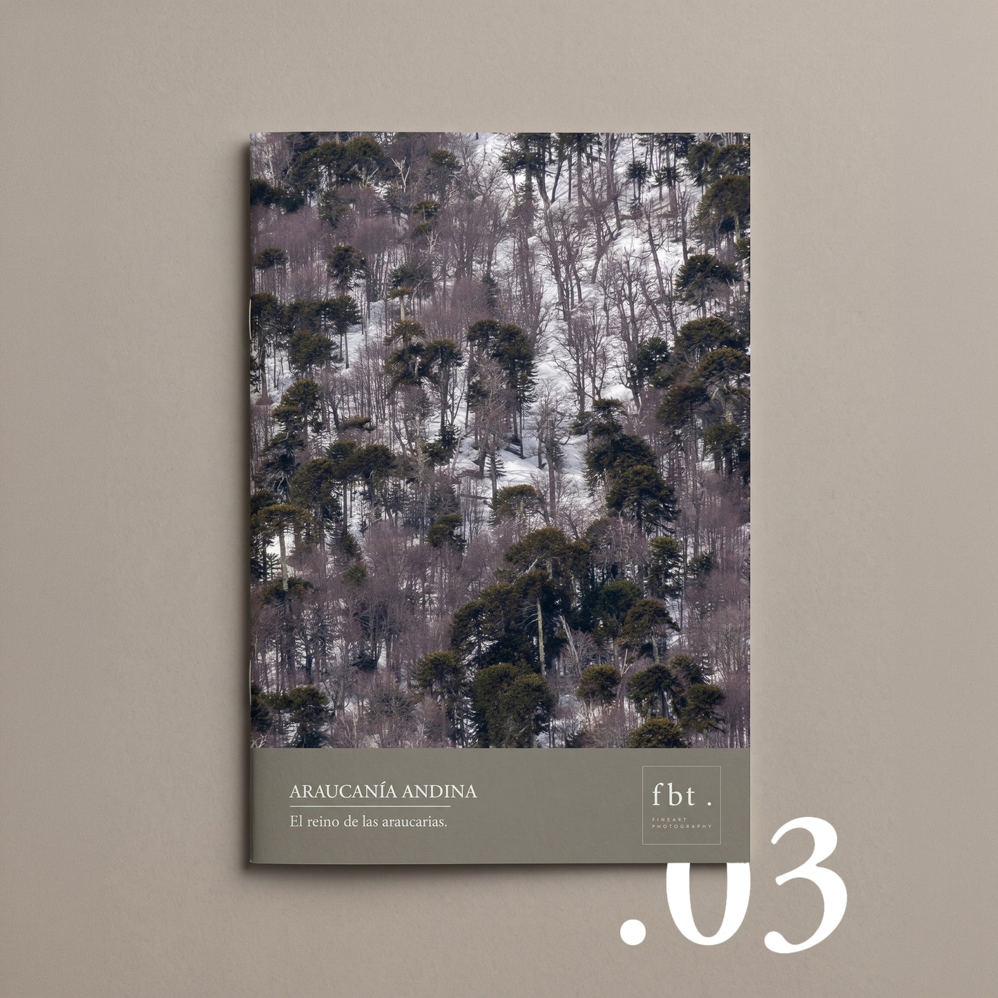 Colección de Libretas | Primera Edición | Lanzamiento