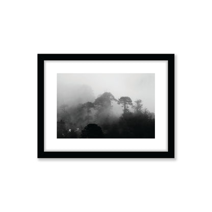 no-repeat center / cover url('https://cdn.shopify.com/s/files/1/0297/4914/9755/files/Artboard_3.png?v=1744315797')