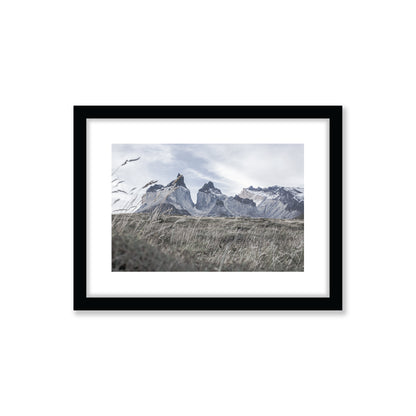 no-repeat center / cover url('https://cdn.shopify.com/s/files/1/0297/4914/9755/files/Artboard_3.png?v=1744315797')
