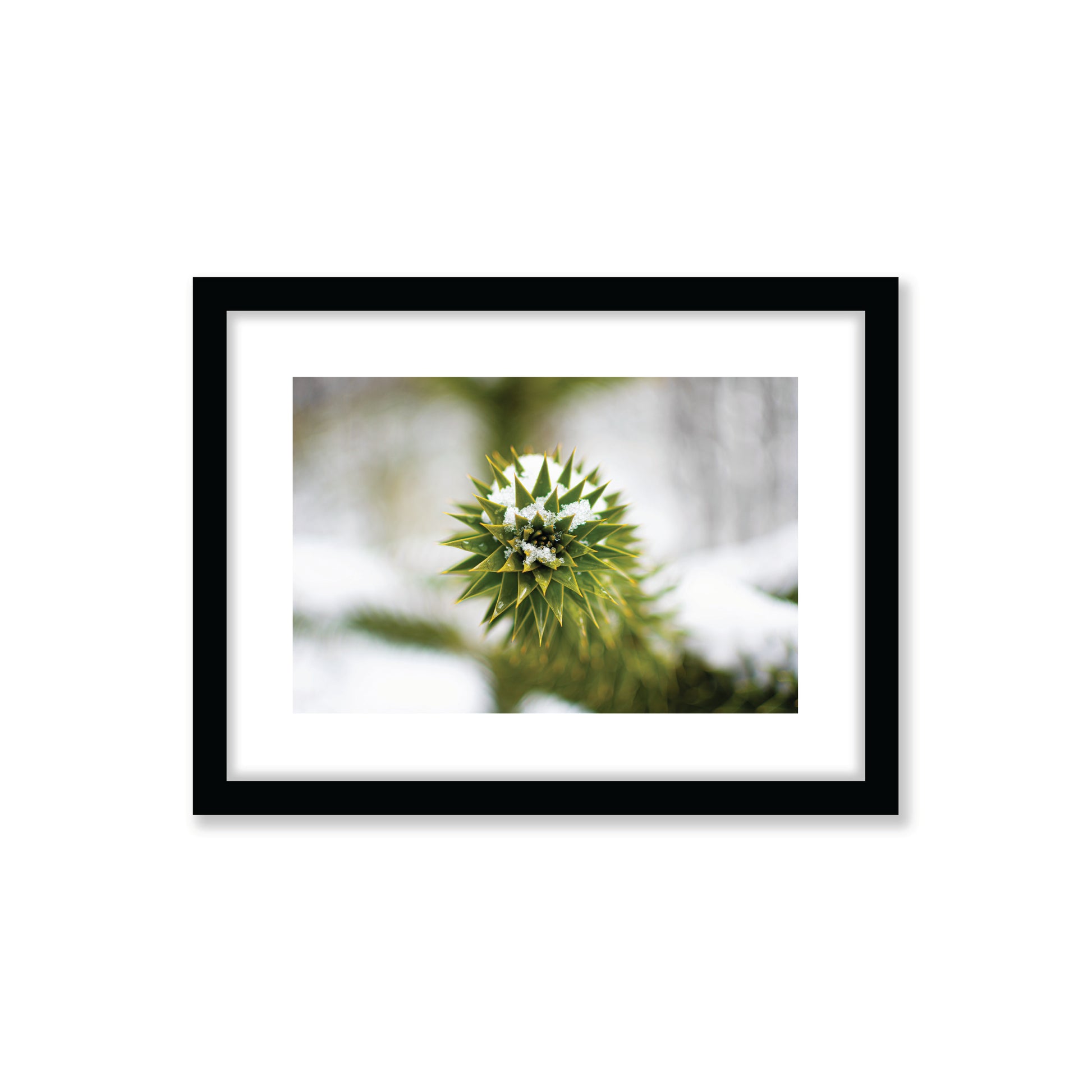 no-repeat center / cover url('https://cdn.shopify.com/s/files/1/0297/4914/9755/files/Artboard_3.png?v=1744315797')