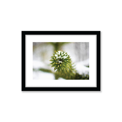 no-repeat center / cover url('https://cdn.shopify.com/s/files/1/0297/4914/9755/files/Artboard_3.png?v=1744315797')