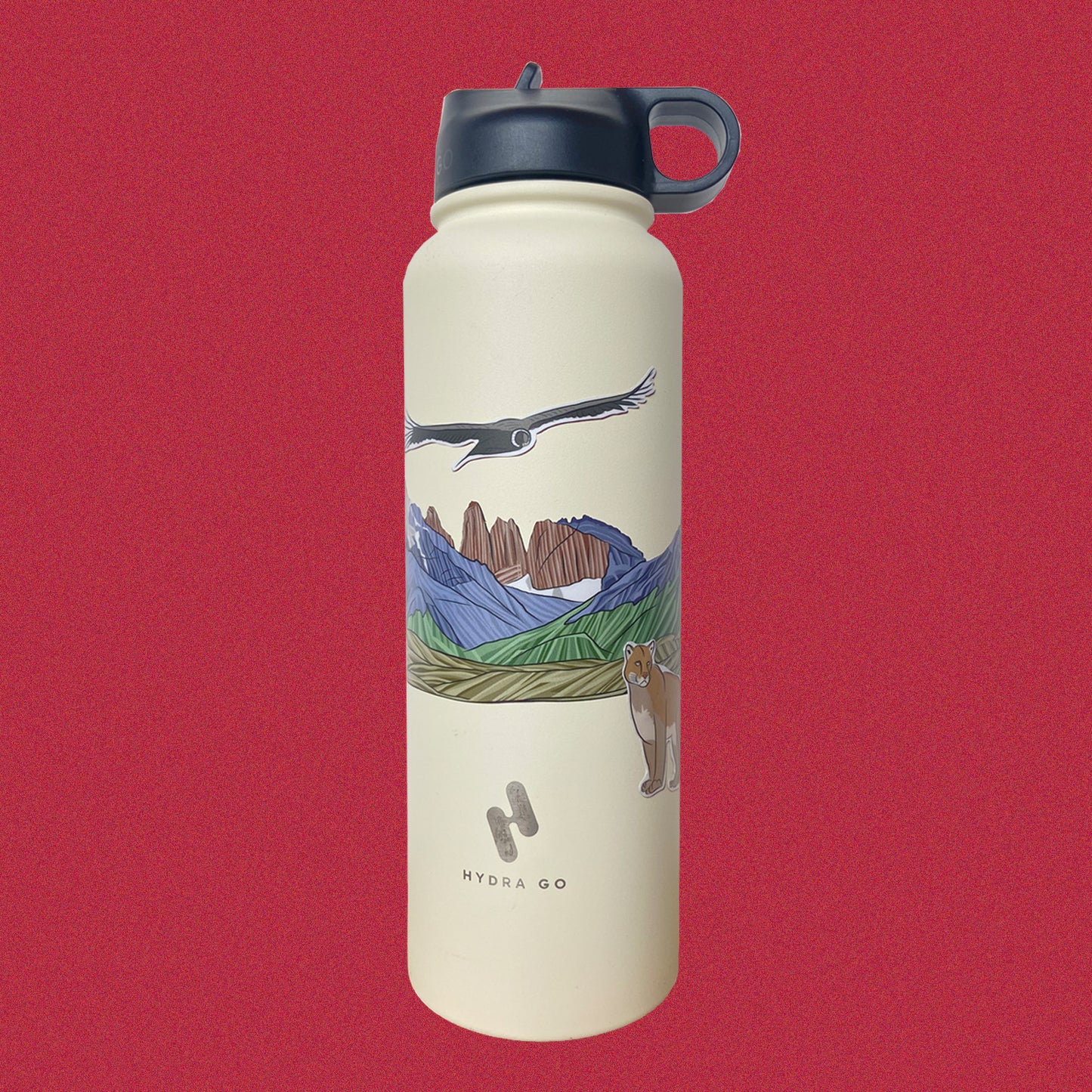 Parque Nacional Torres del Paine