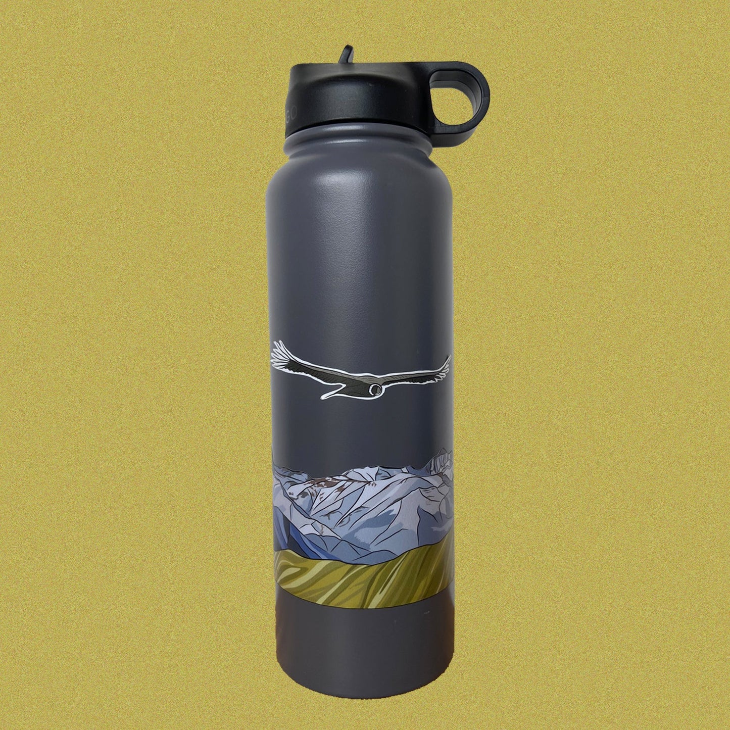 Valle del Mapocho, Santiago