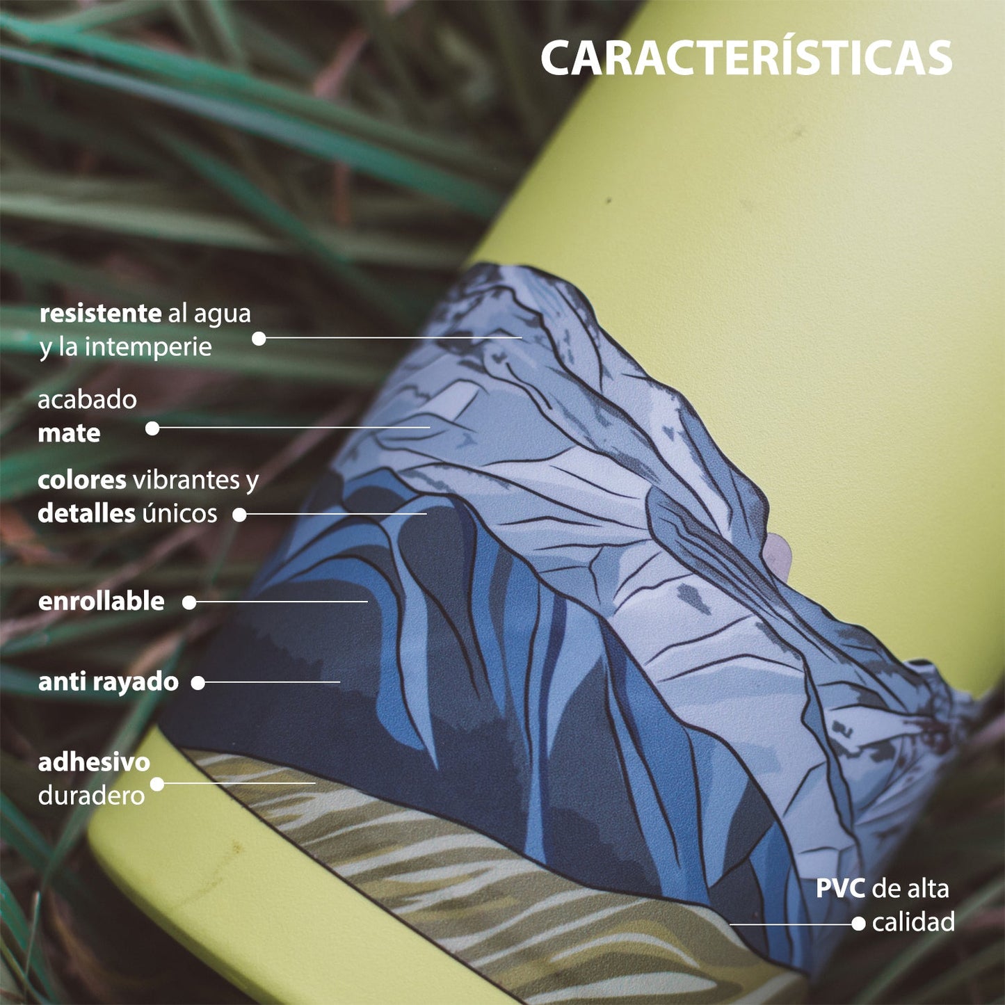 Valle del Mapocho, Santiago