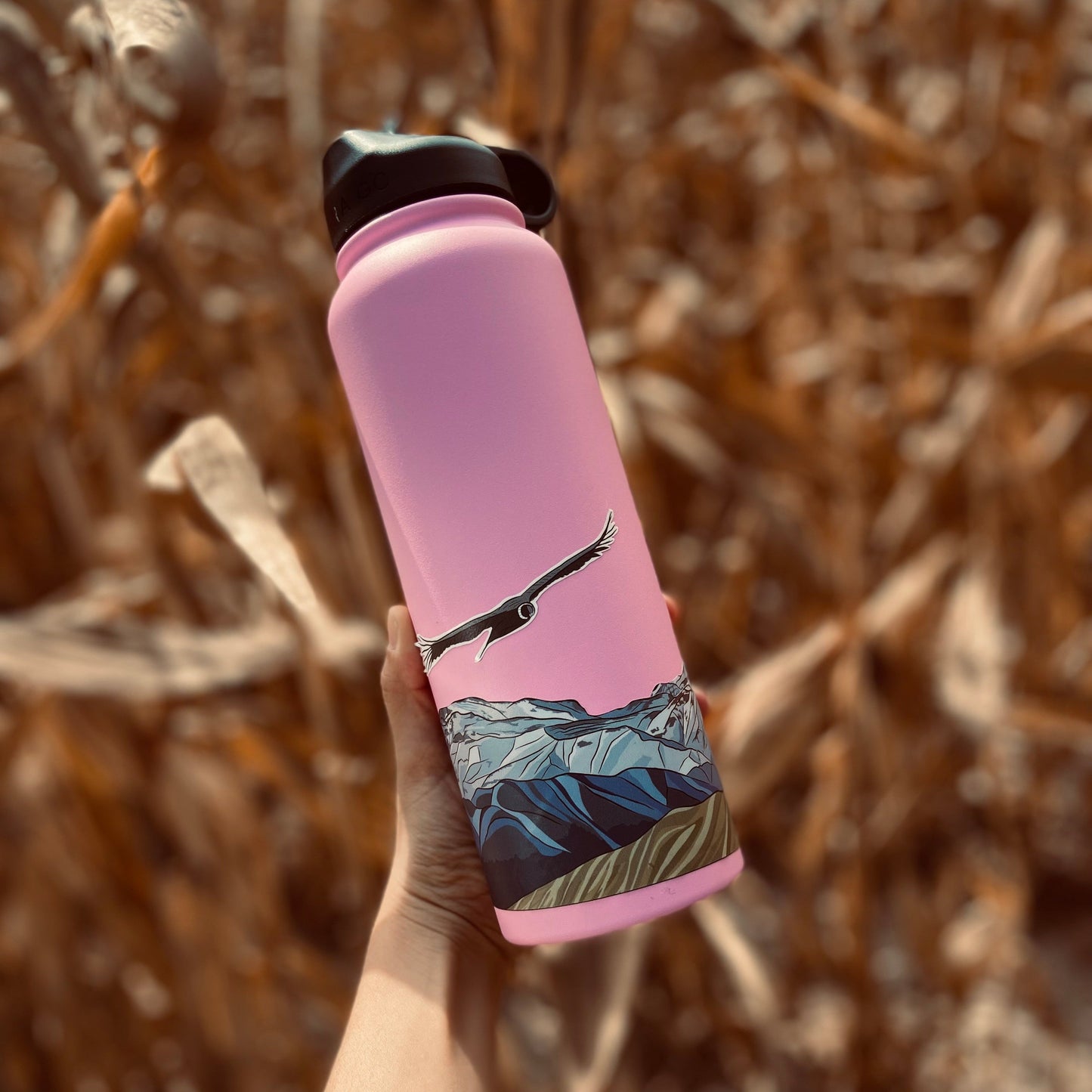 Valle del Mapocho, Santiago