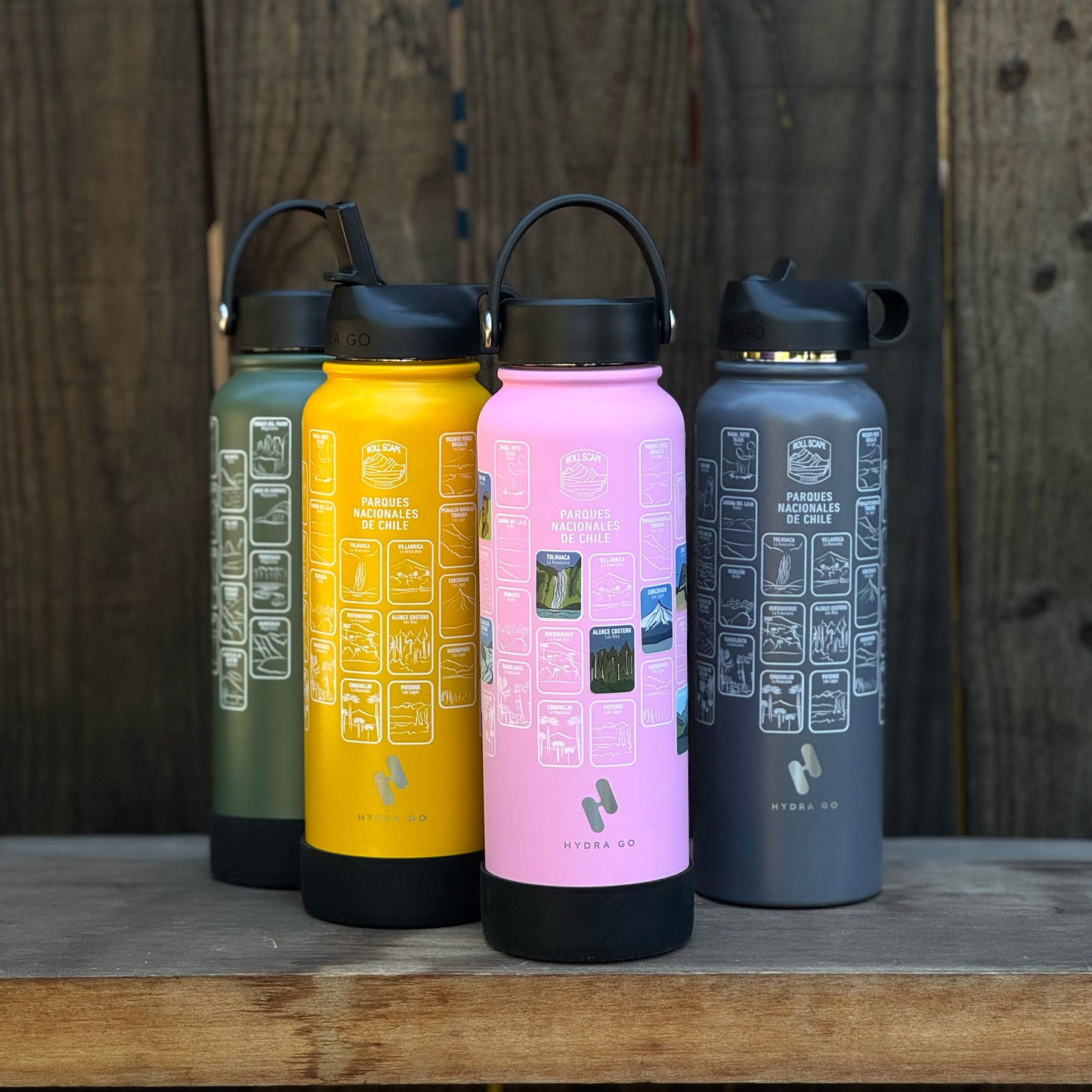 Botella + Stickers Parques Nacionales de Chile