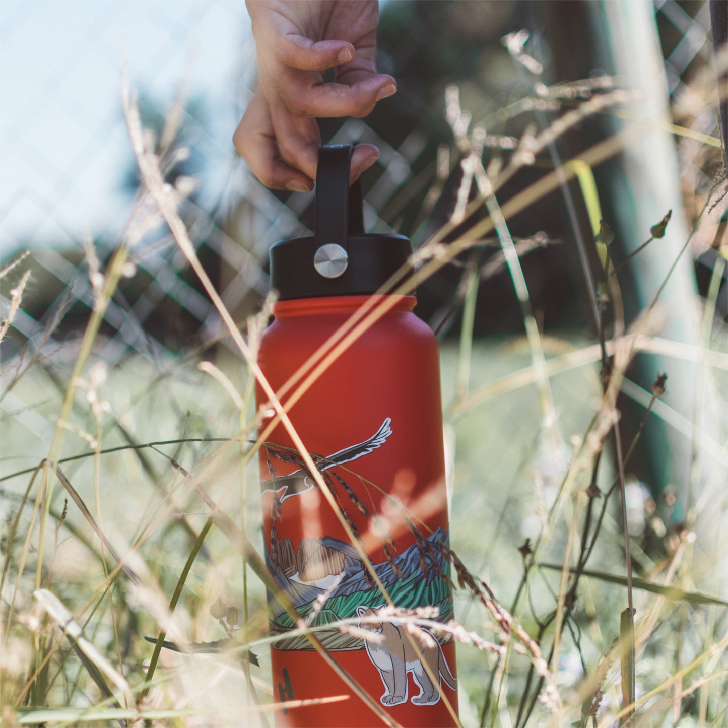 Parque Nacional Torres del Paine