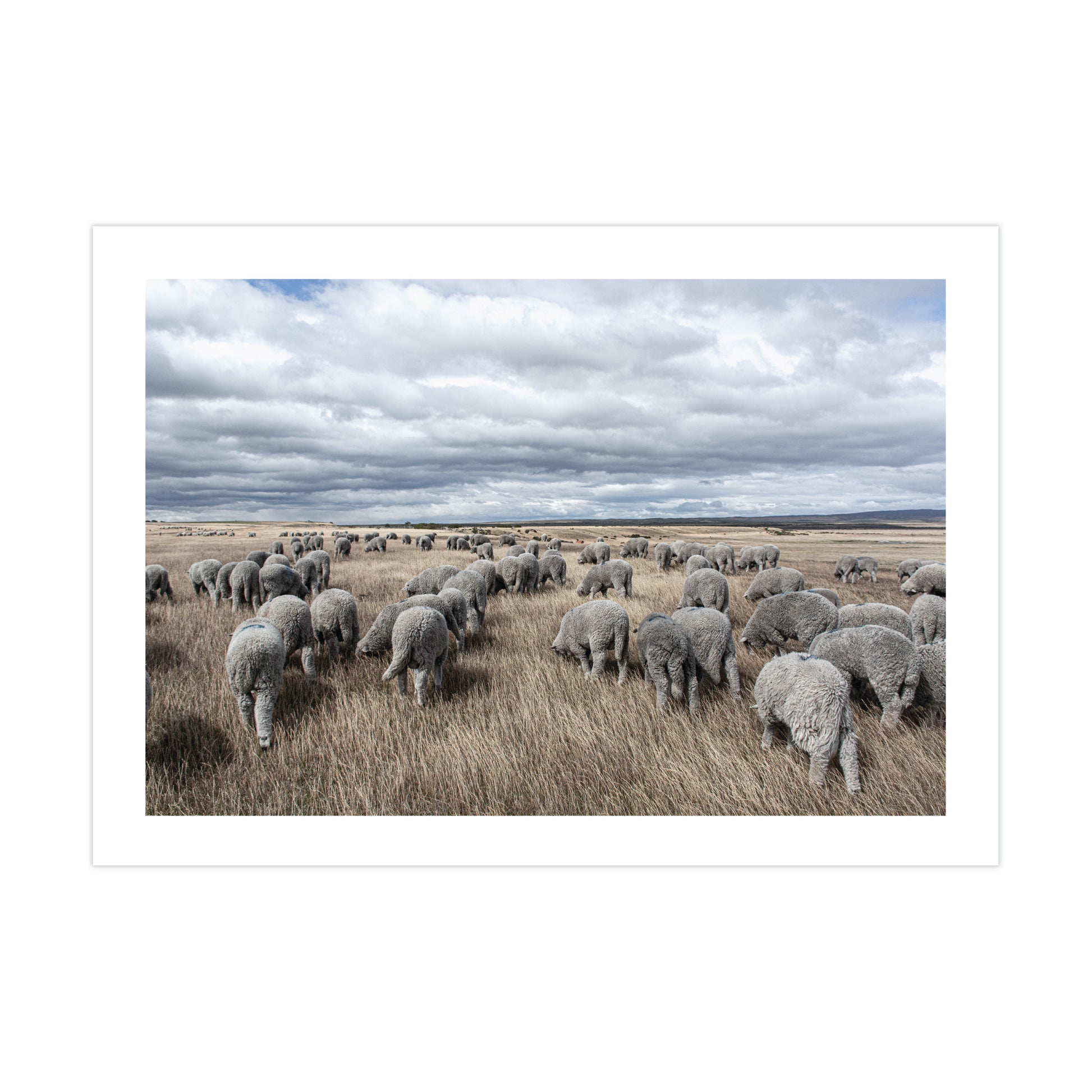 no-repeat center / cover url('https://cdn.shopify.com/s/files/1/0297/4914/9755/files/Artboard_1.png?v=1744315797')