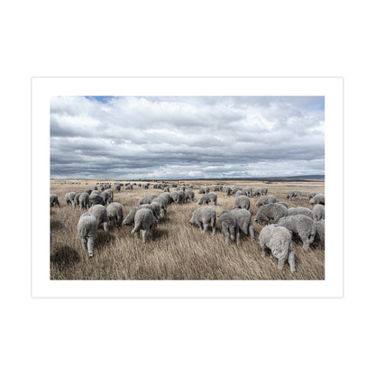 no-repeat center / cover url('https://cdn.shopify.com/s/files/1/0297/4914/9755/files/Artboard_1.png?v=1744315797')