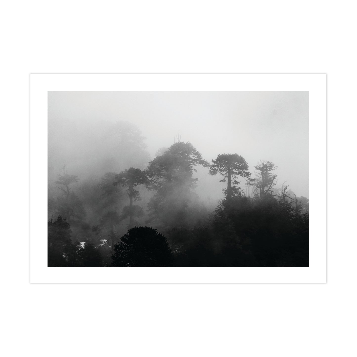 no-repeat center / cover url('https://cdn.shopify.com/s/files/1/0297/4914/9755/files/Artboard_1.png?v=1744315797')