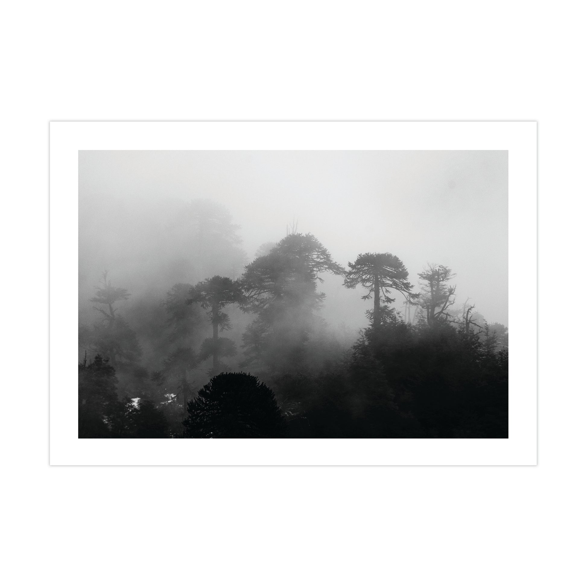 no-repeat center / cover url('https://cdn.shopify.com/s/files/1/0297/4914/9755/files/Artboard_1.png?v=1744315797')