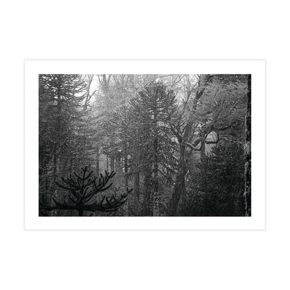 no-repeat center / cover url('https://cdn.shopify.com/s/files/1/0297/4914/9755/files/Artboard_1.png?v=1744315797')