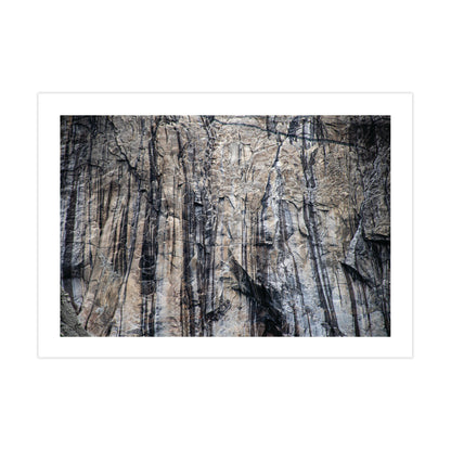 no-repeat center / cover url('https://cdn.shopify.com/s/files/1/0297/4914/9755/files/Artboard_1.png?v=1744315797')