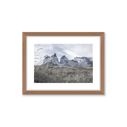 no-repeat center / cover url('https://cdn.shopify.com/s/files/1/0297/4914/9755/files/Artboard_2.png?v=1744315797')