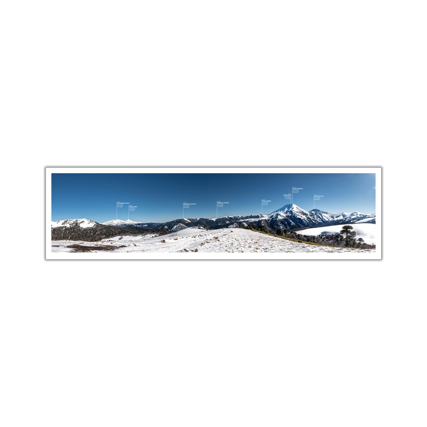 no-repeat center / cover url('https://cdn.shopify.com/s/files/1/0297/4914/9755/files/Artboard_1.png?v=1744315797')