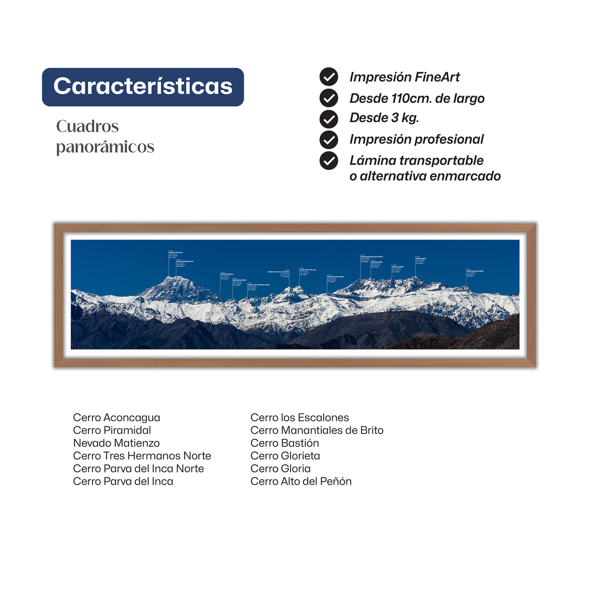 Cumbres del Aconcagua