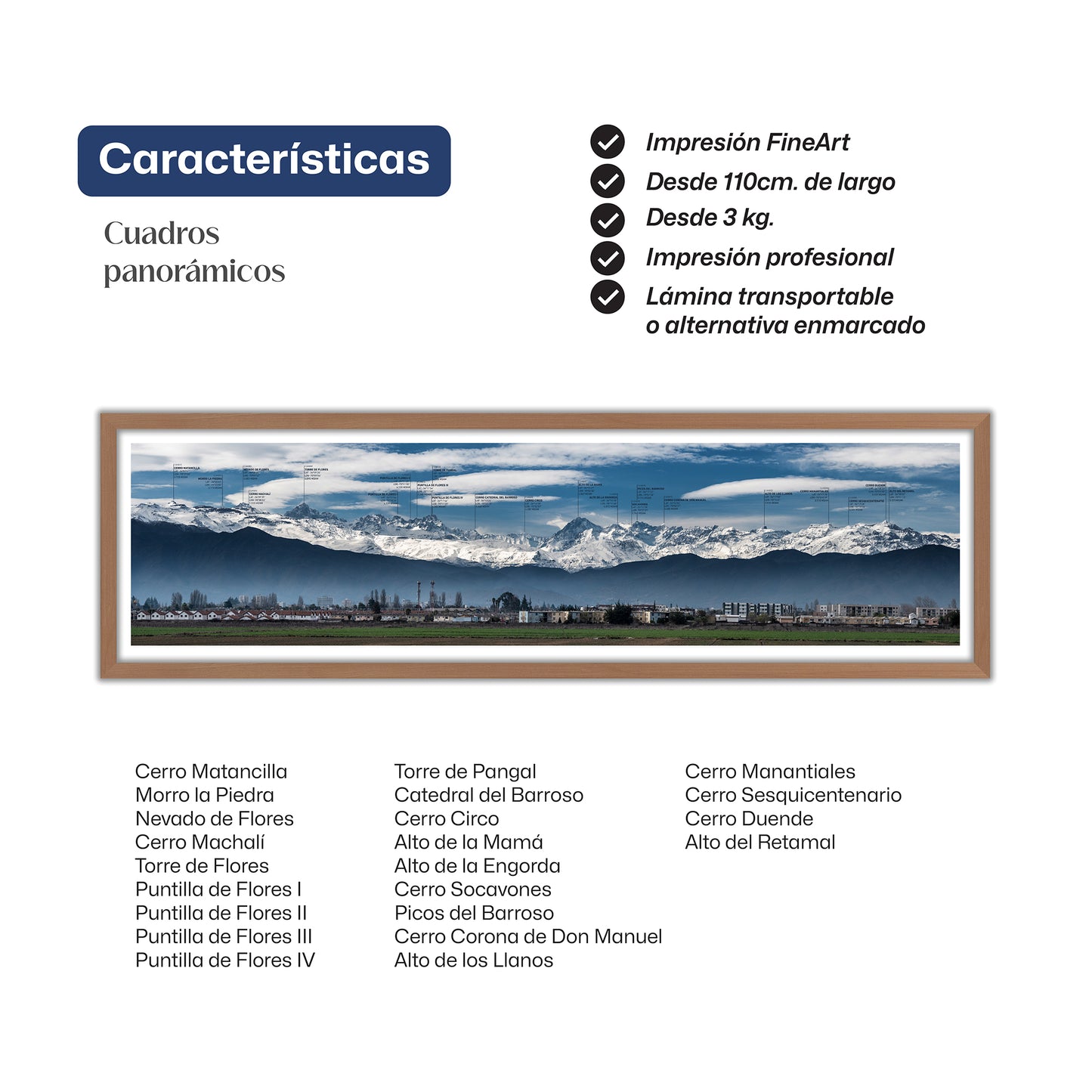 Panorámica Rancagua