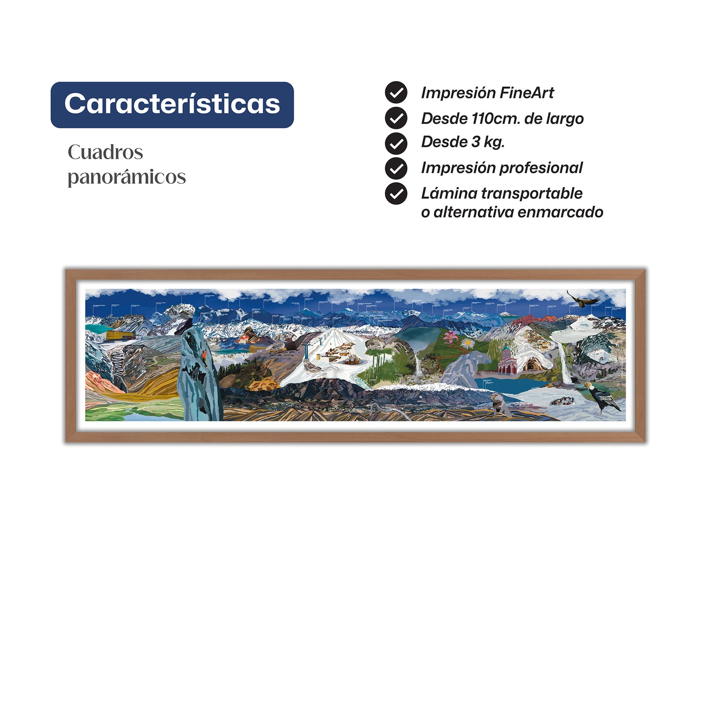 Mi gran Cordillera, V, RM y VI