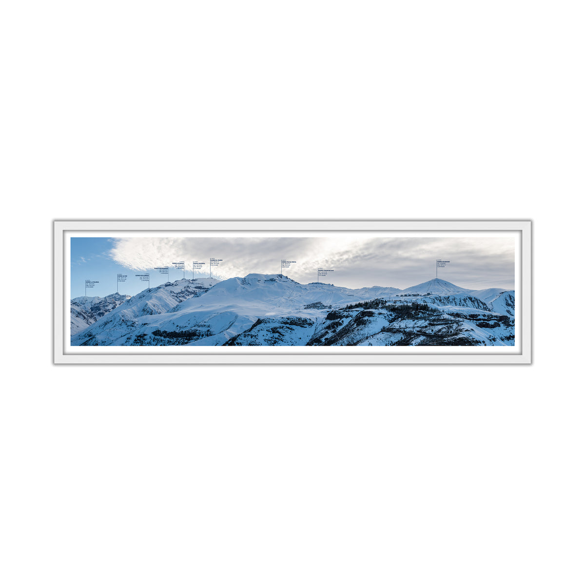no-repeat center / cover url('https://cdn.shopify.com/s/files/1/0297/4914/9755/files/Artboard_1_1-100.jpg?v=1744600279')
